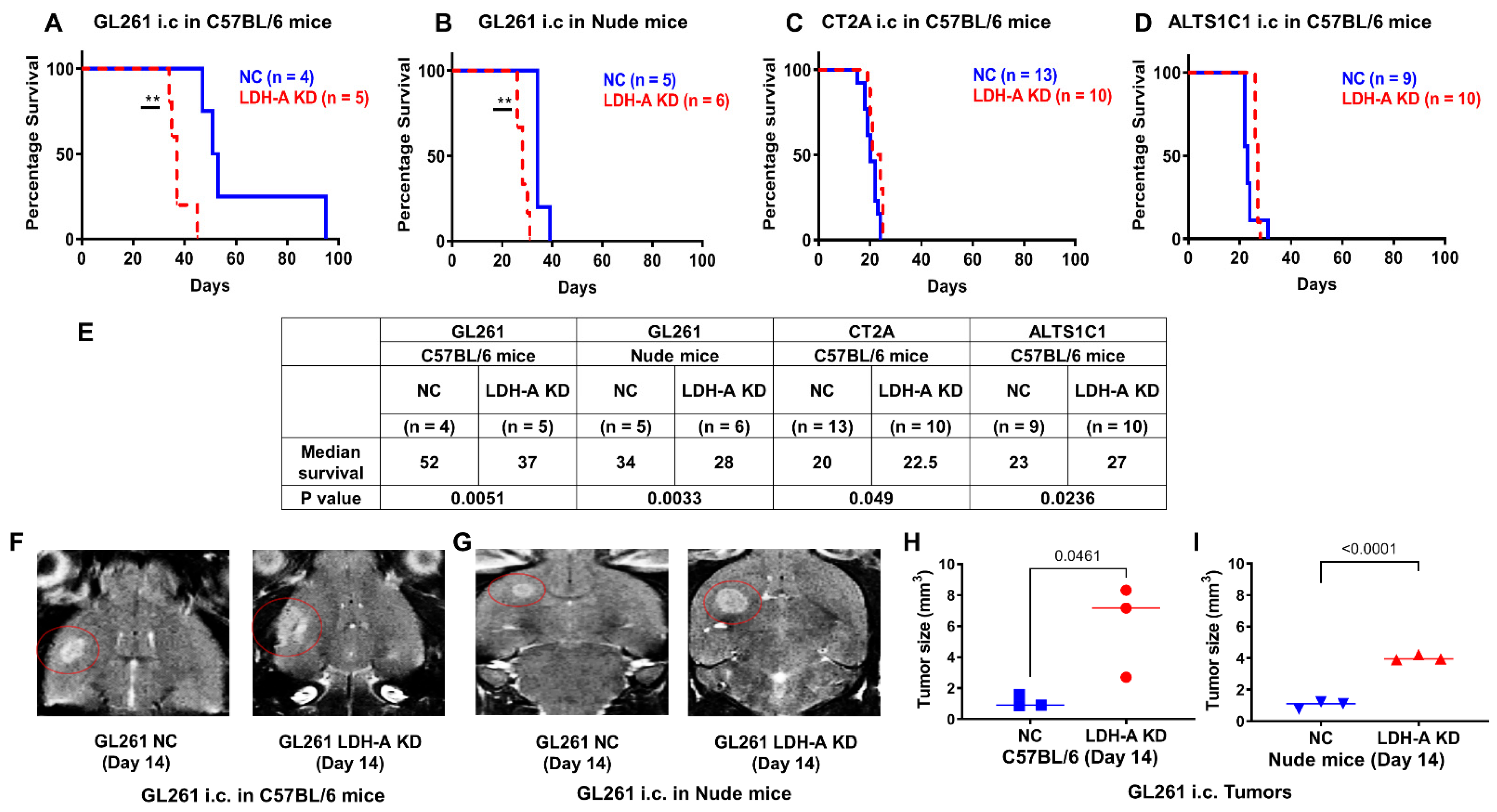 Cancers 14 02306 g001
