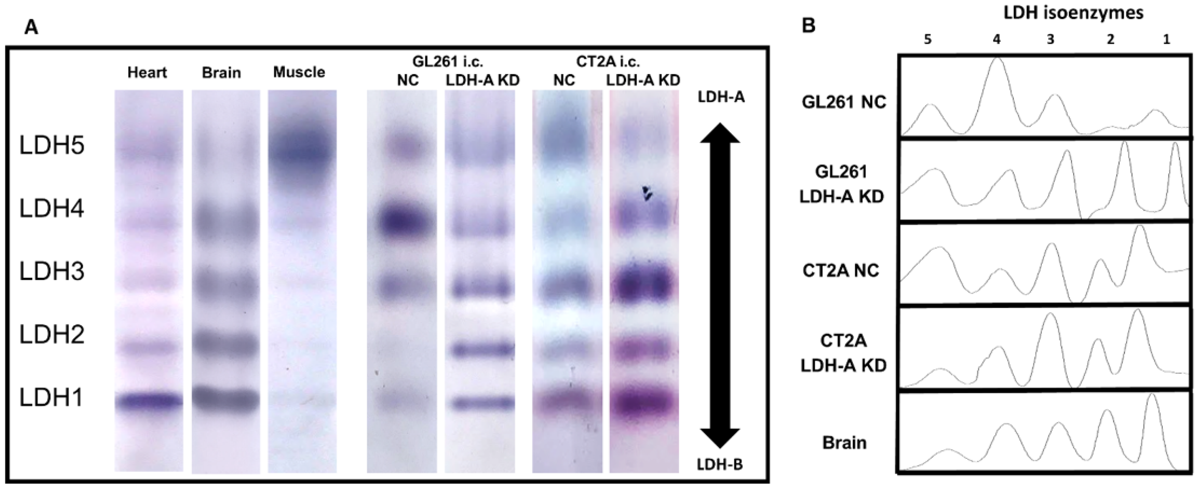 Cancers 14 02306 g002