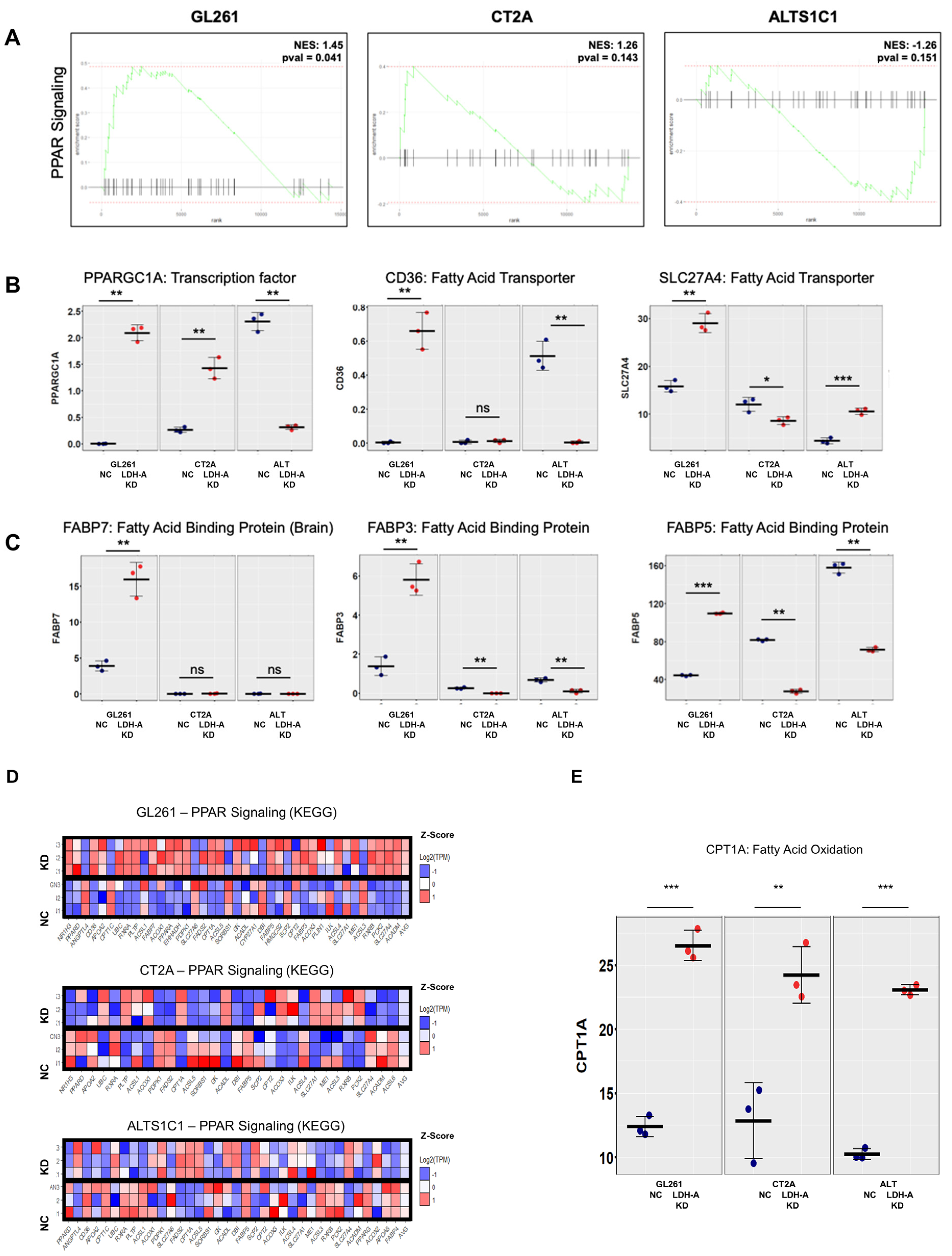 Cancers 14 02306 g003
