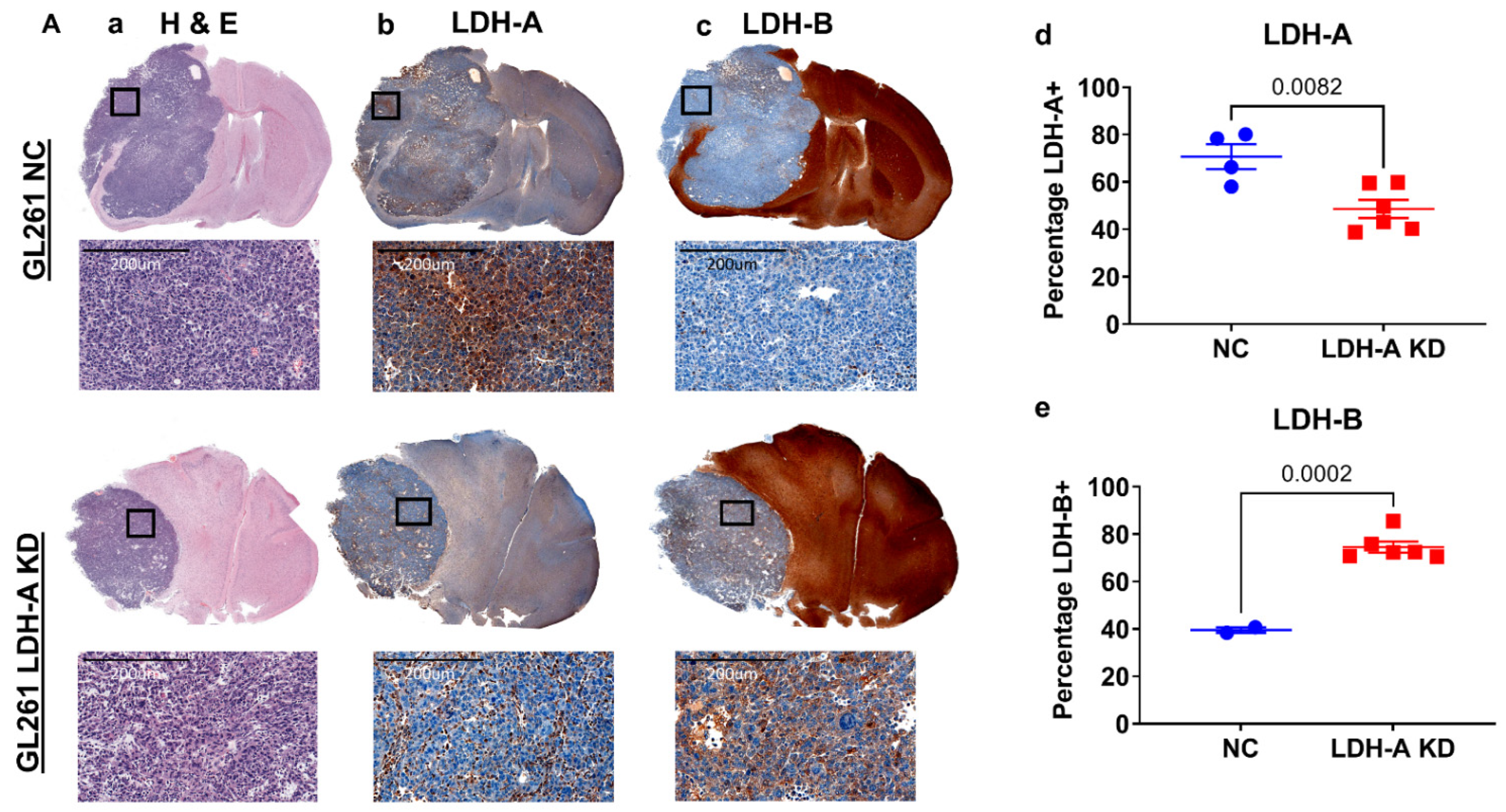 Cancers 14 02306 g004a