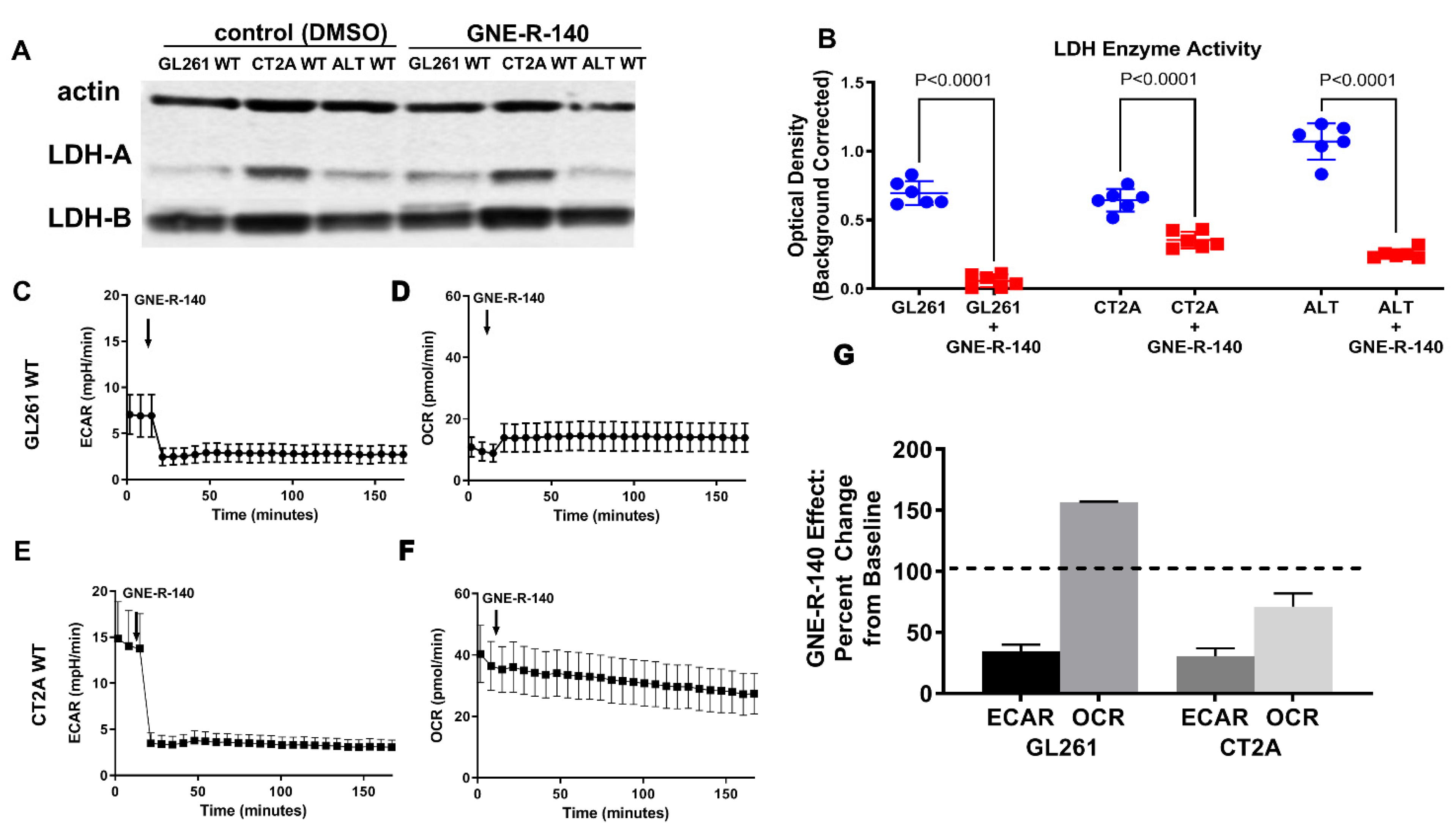 Cancers 14 02306 g006