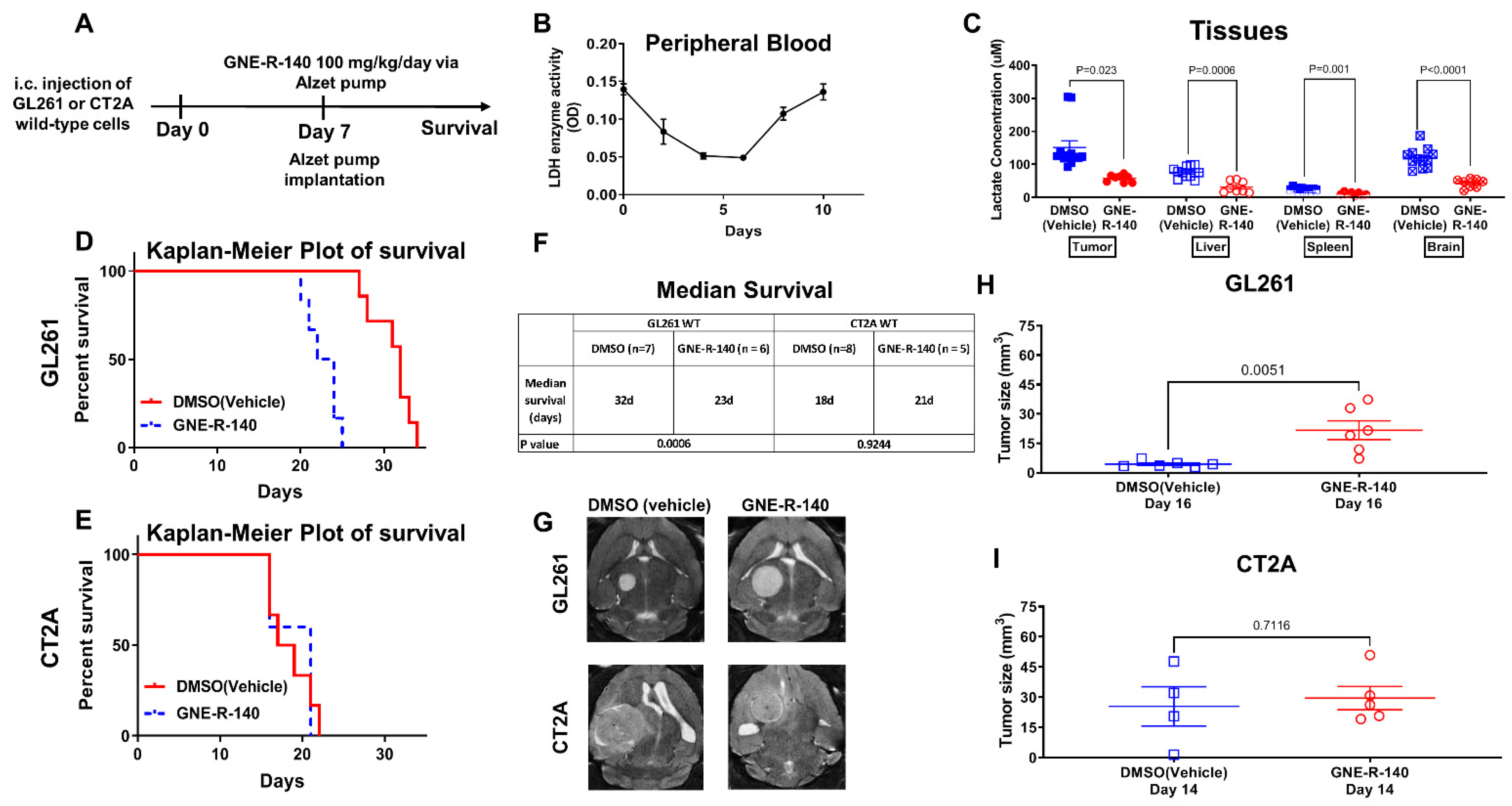 Cancers 14 02306 g007