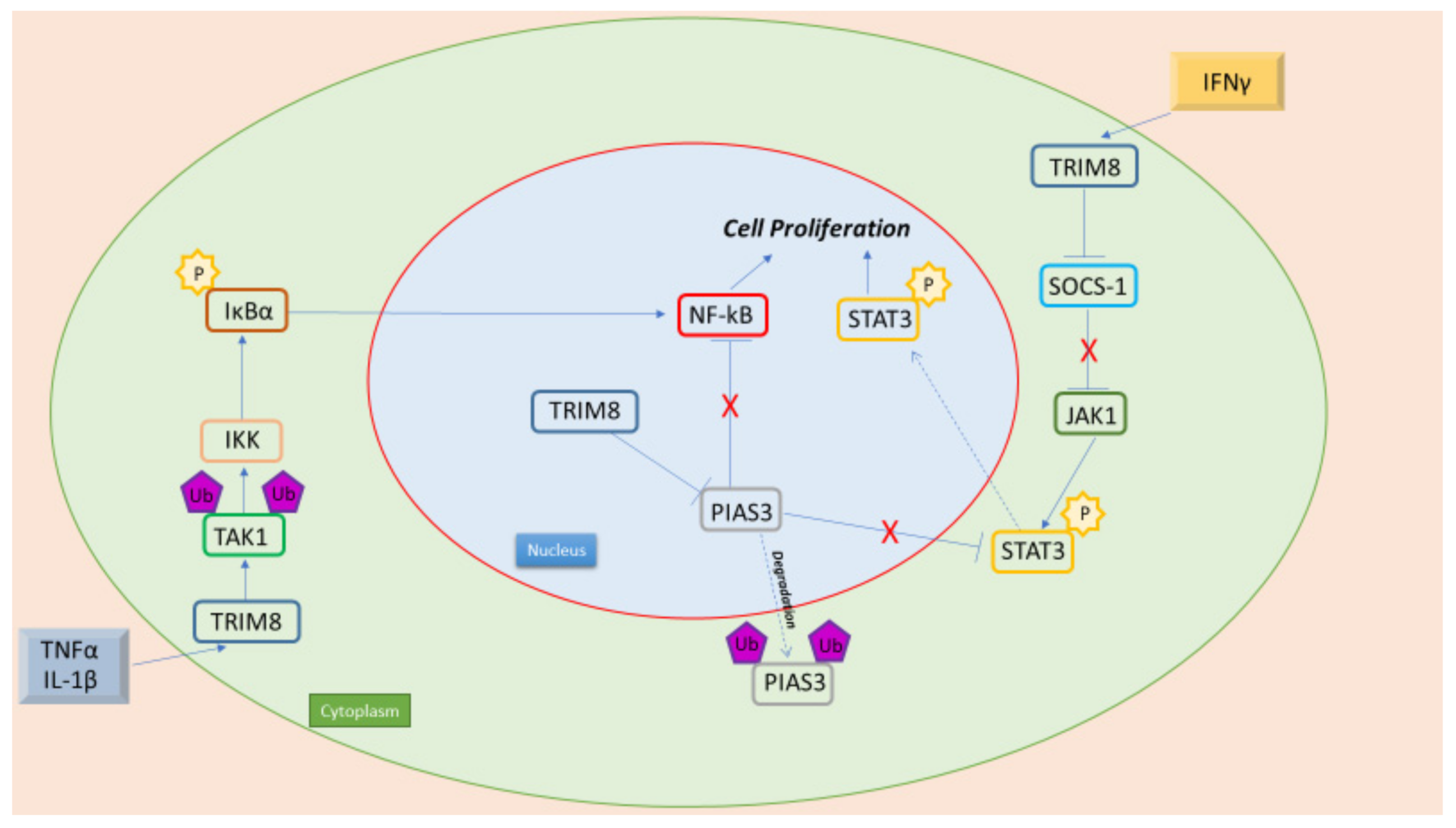 Cancers 14 02309 g002