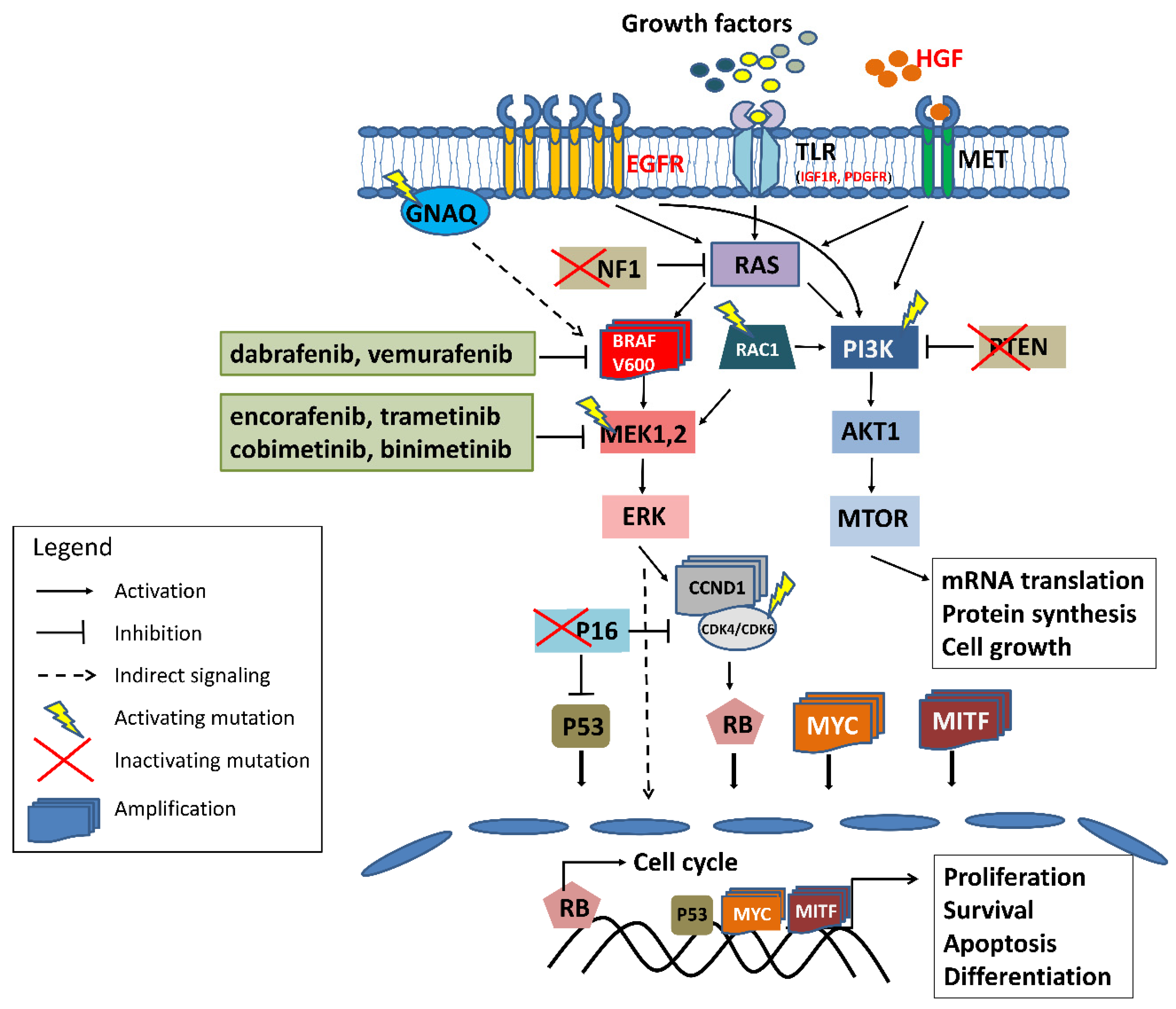 Cancers 14 02315 g001