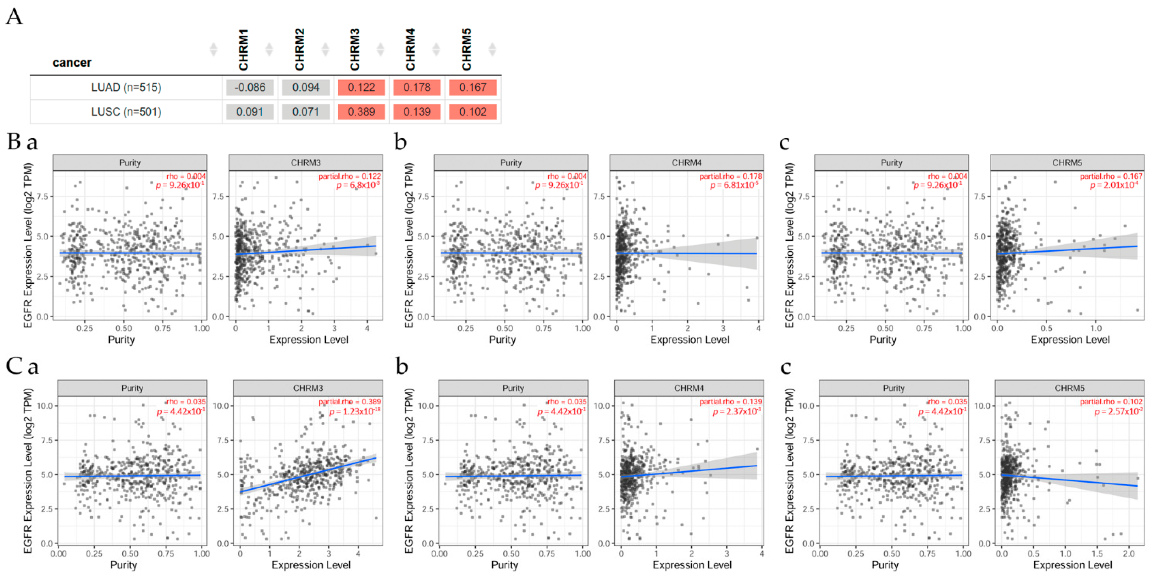 Cancers 14 02322 g004 Cancers 14 02322 g004