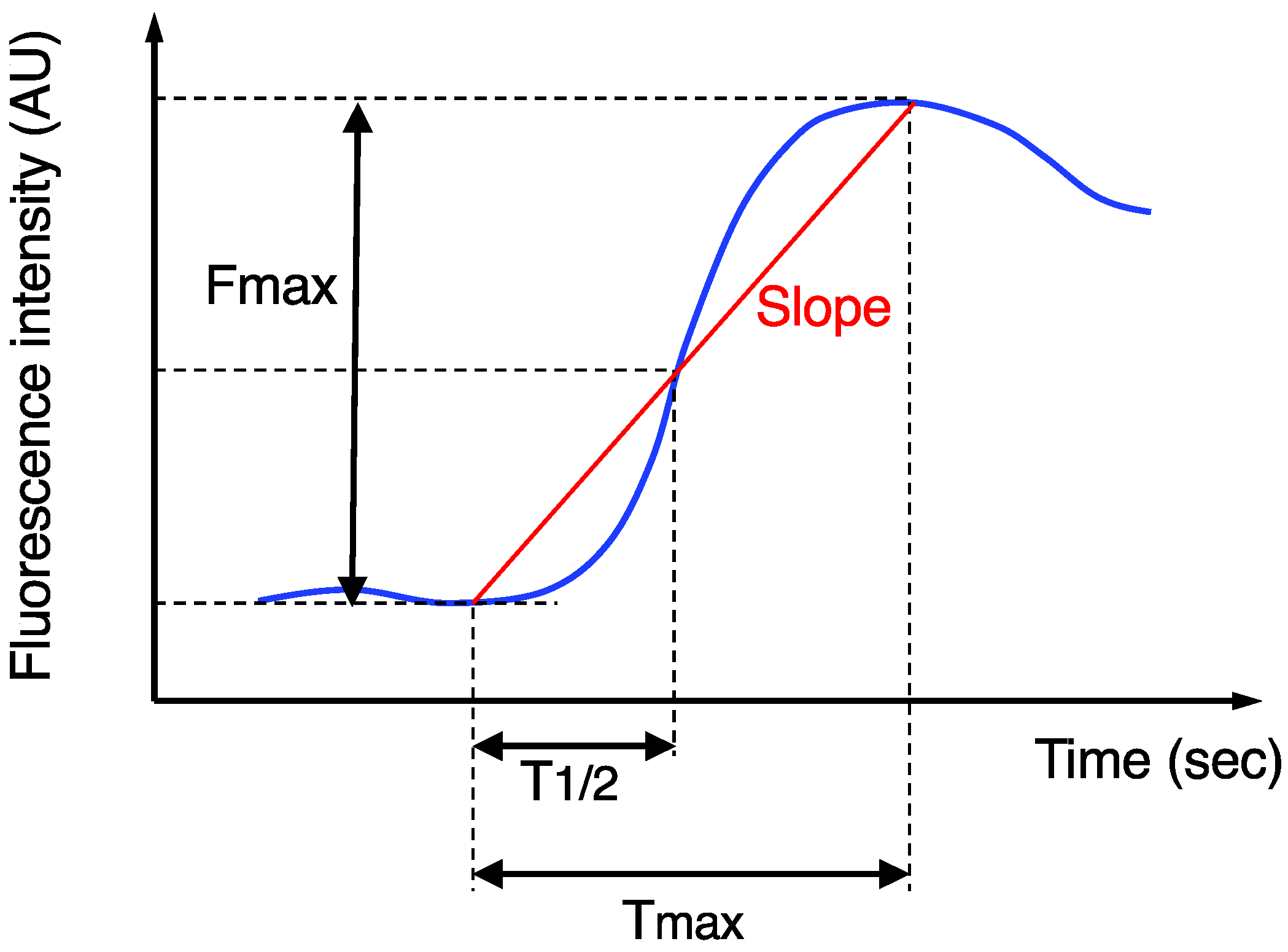 Cancers 14 02328 g001