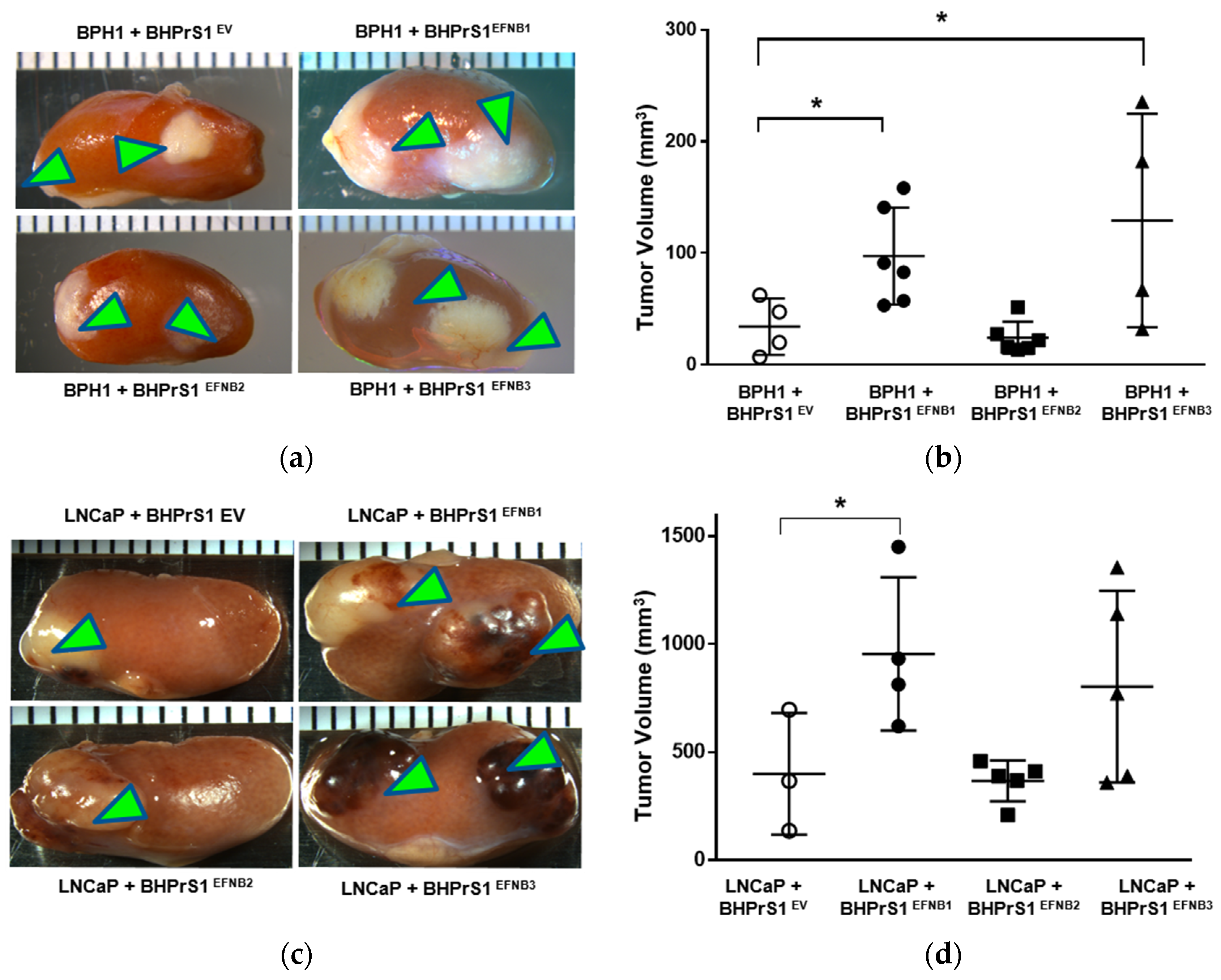 Cancers 14 02336 g004