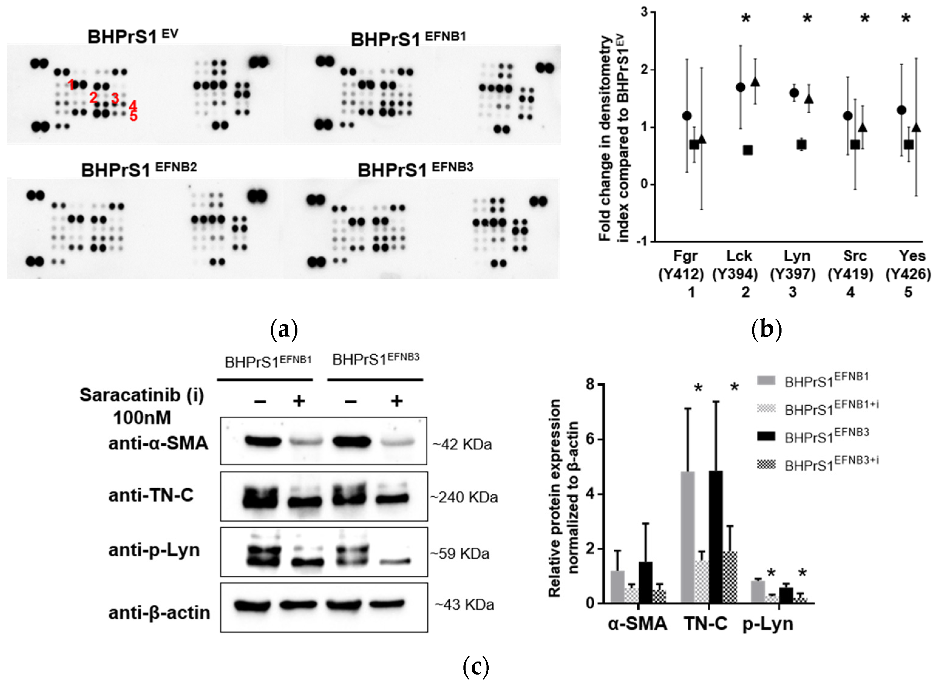 Cancers 14 02336 g006