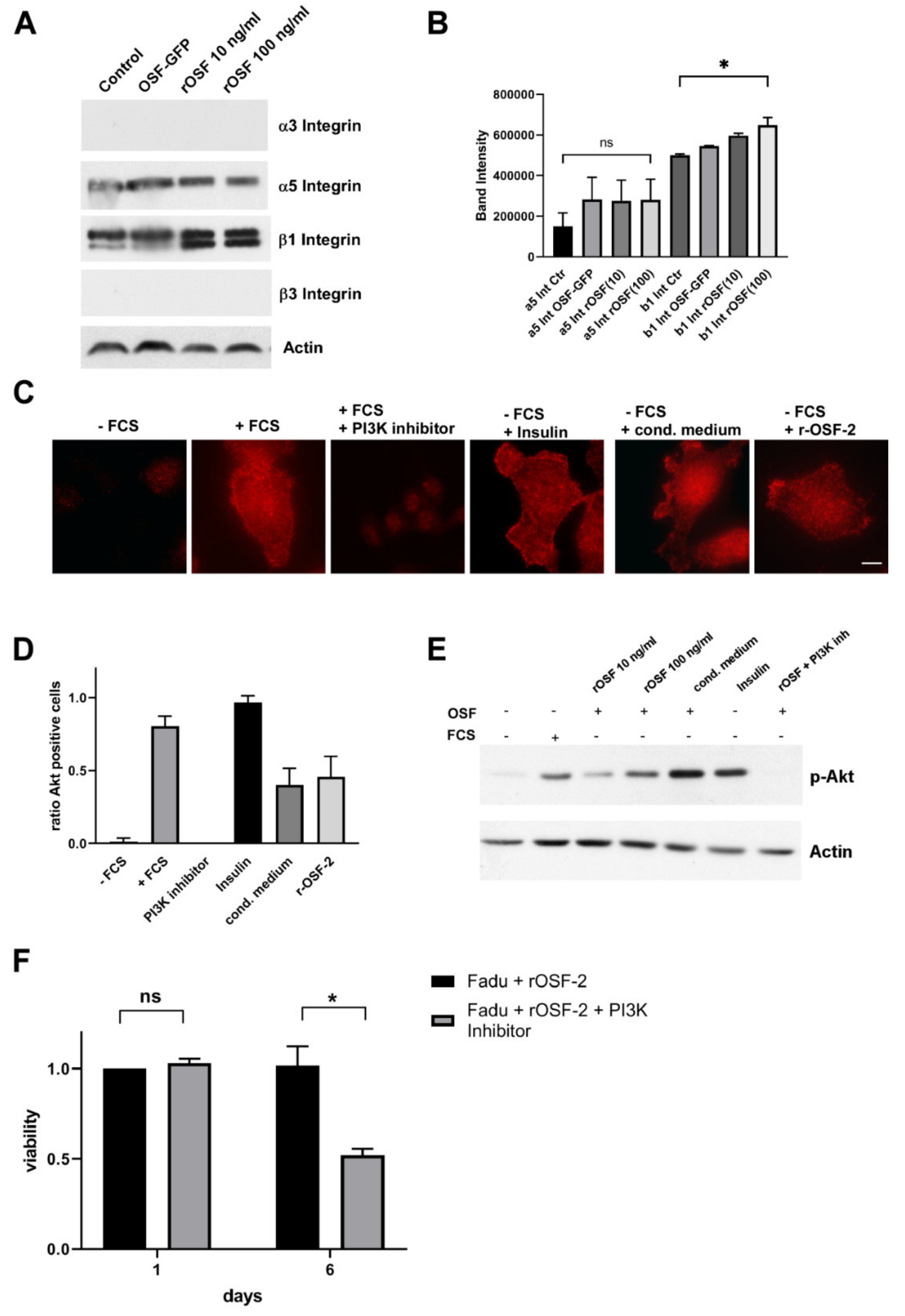 Cancers 14 02337 g008 Cancers 14 02337 g008