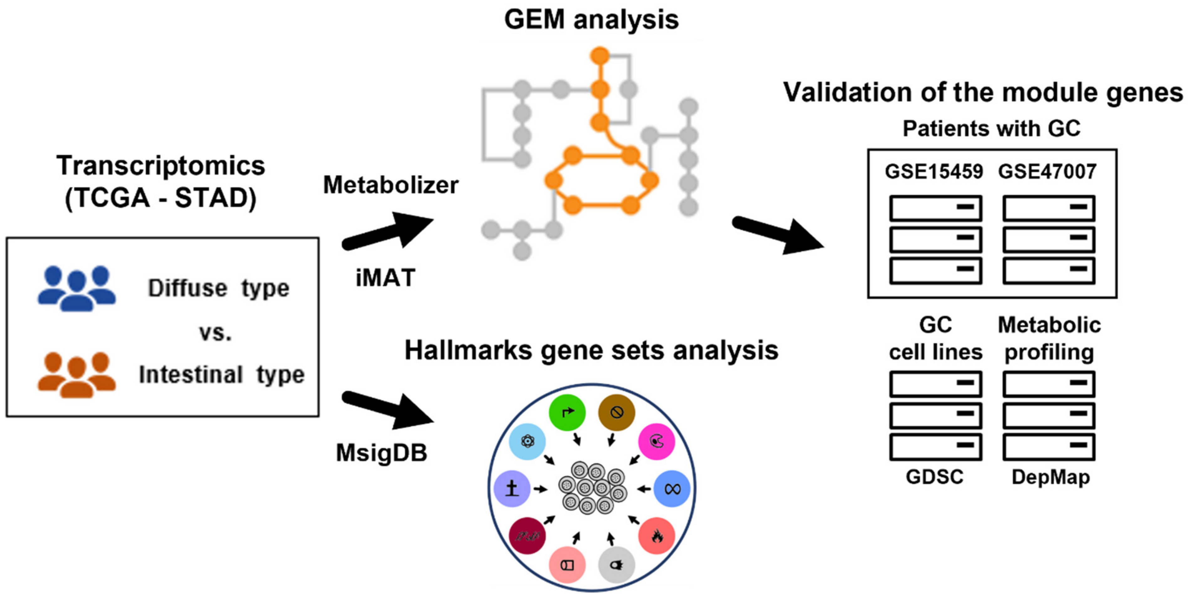 Cancers 14 02340 g001