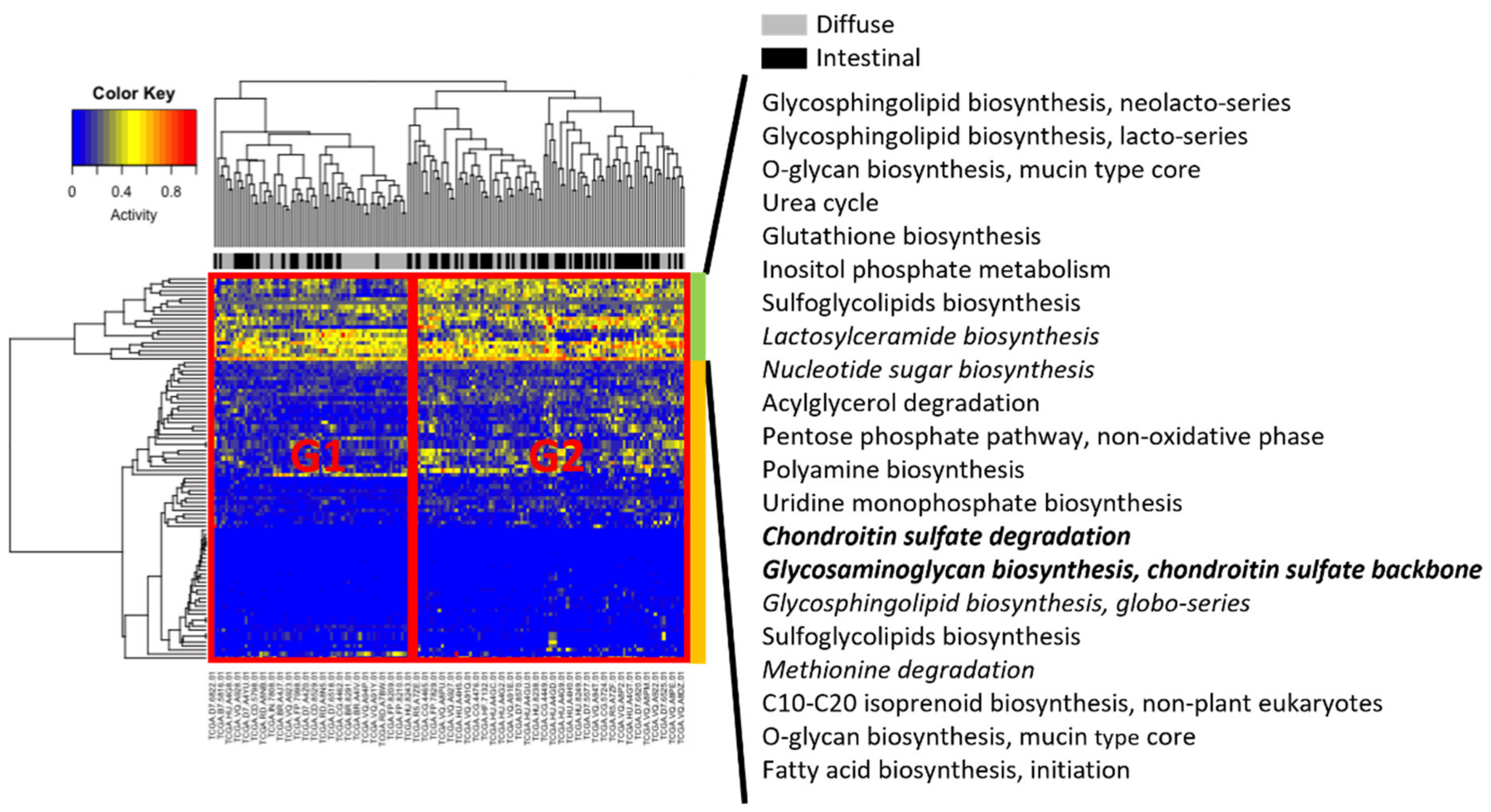 Cancers 14 02340 g004