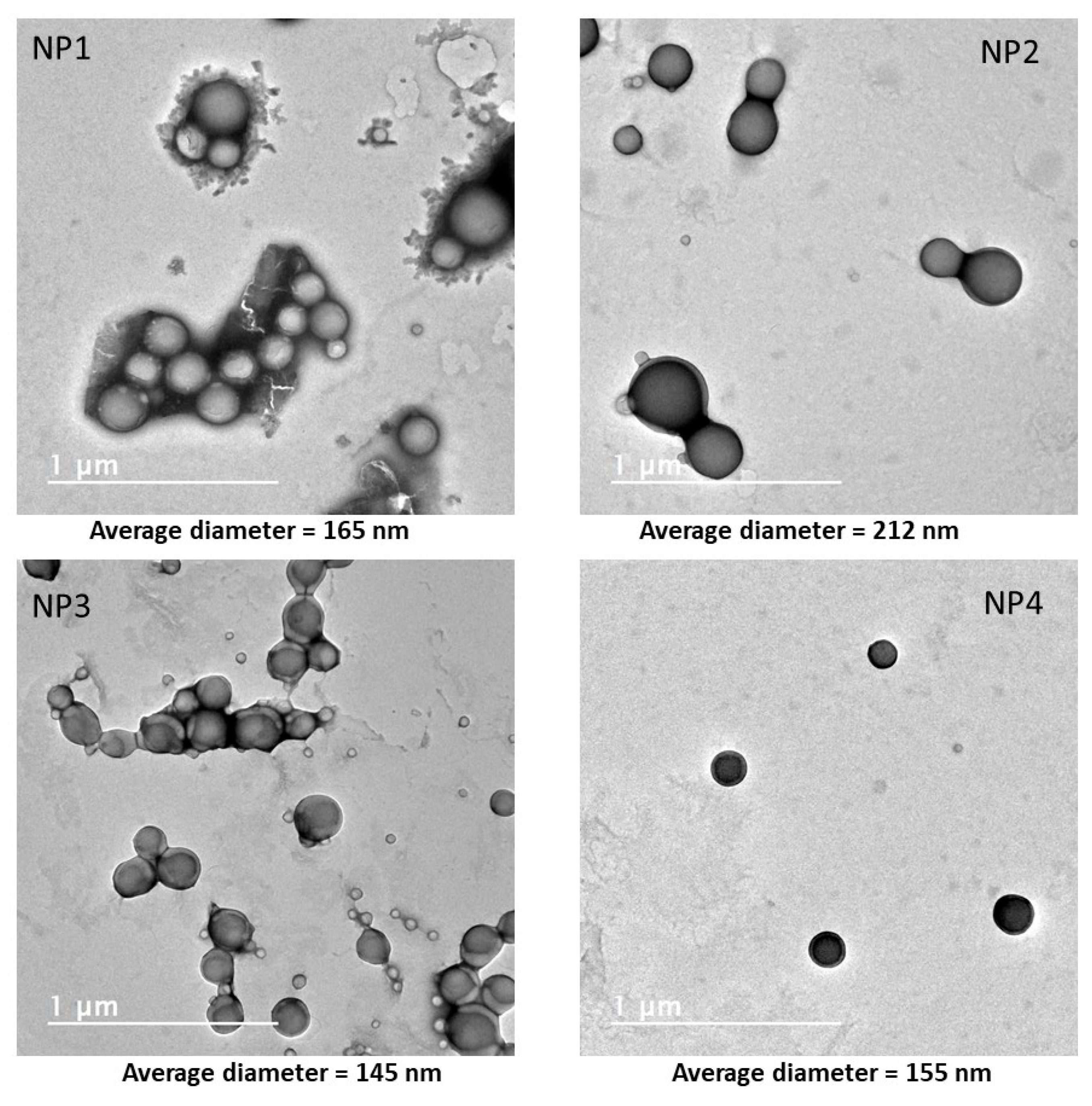 Cancers 14 02358 g001