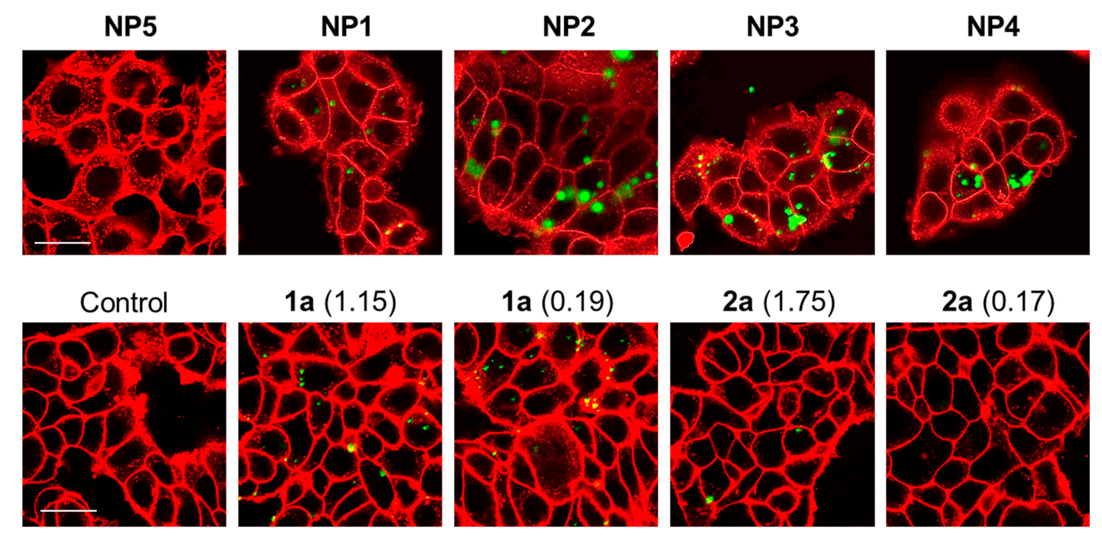 Cancers 14 02358 g003