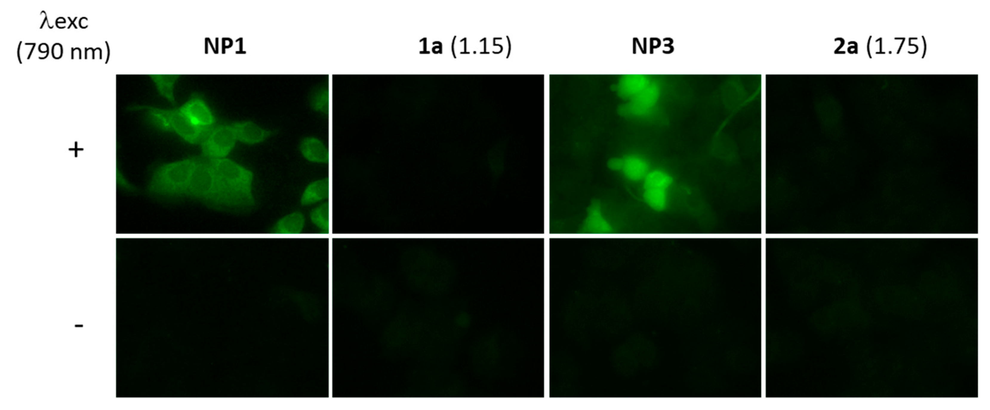 Cancers 14 02358 g005