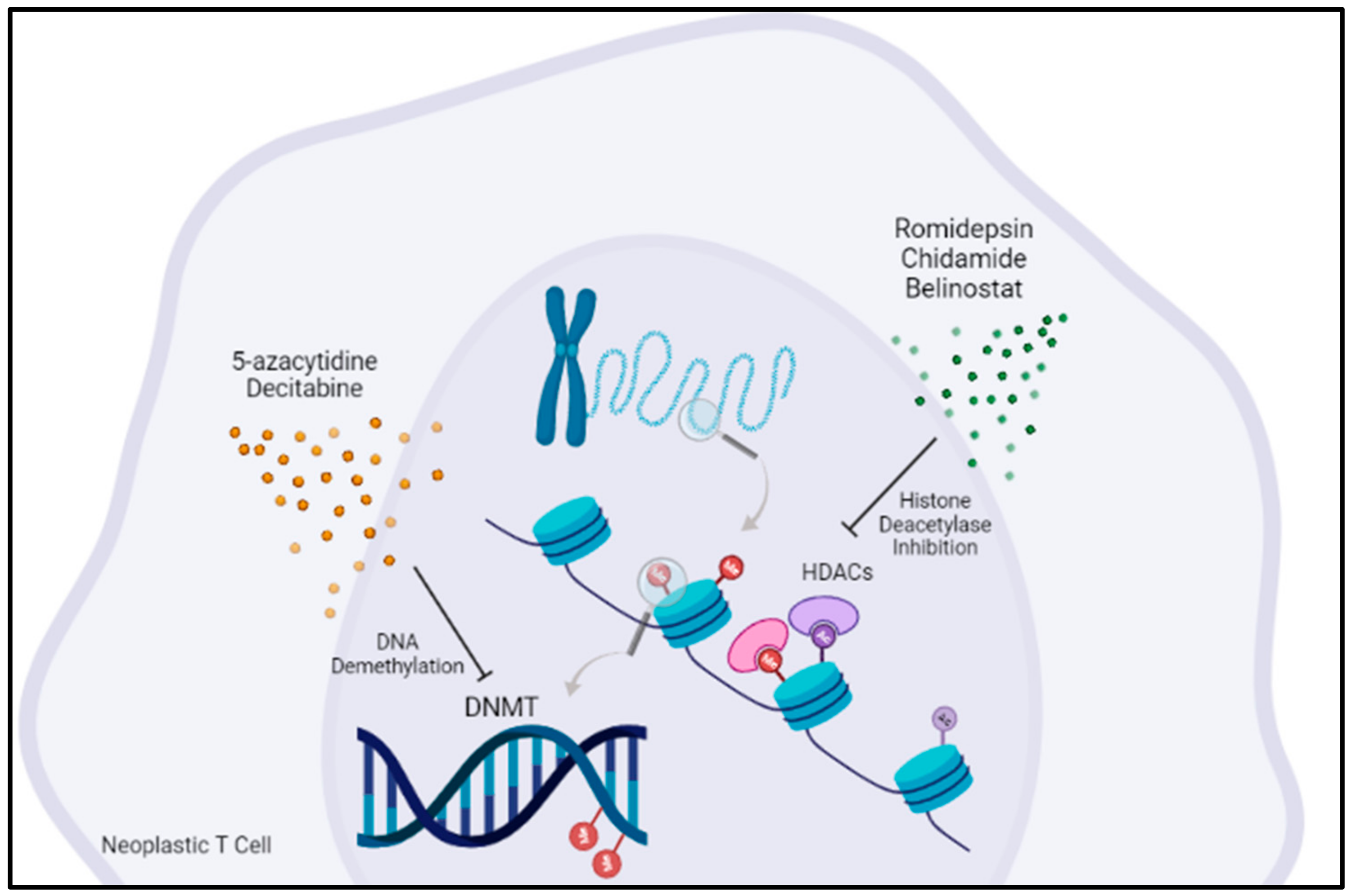 Cancers 14 02392 g001