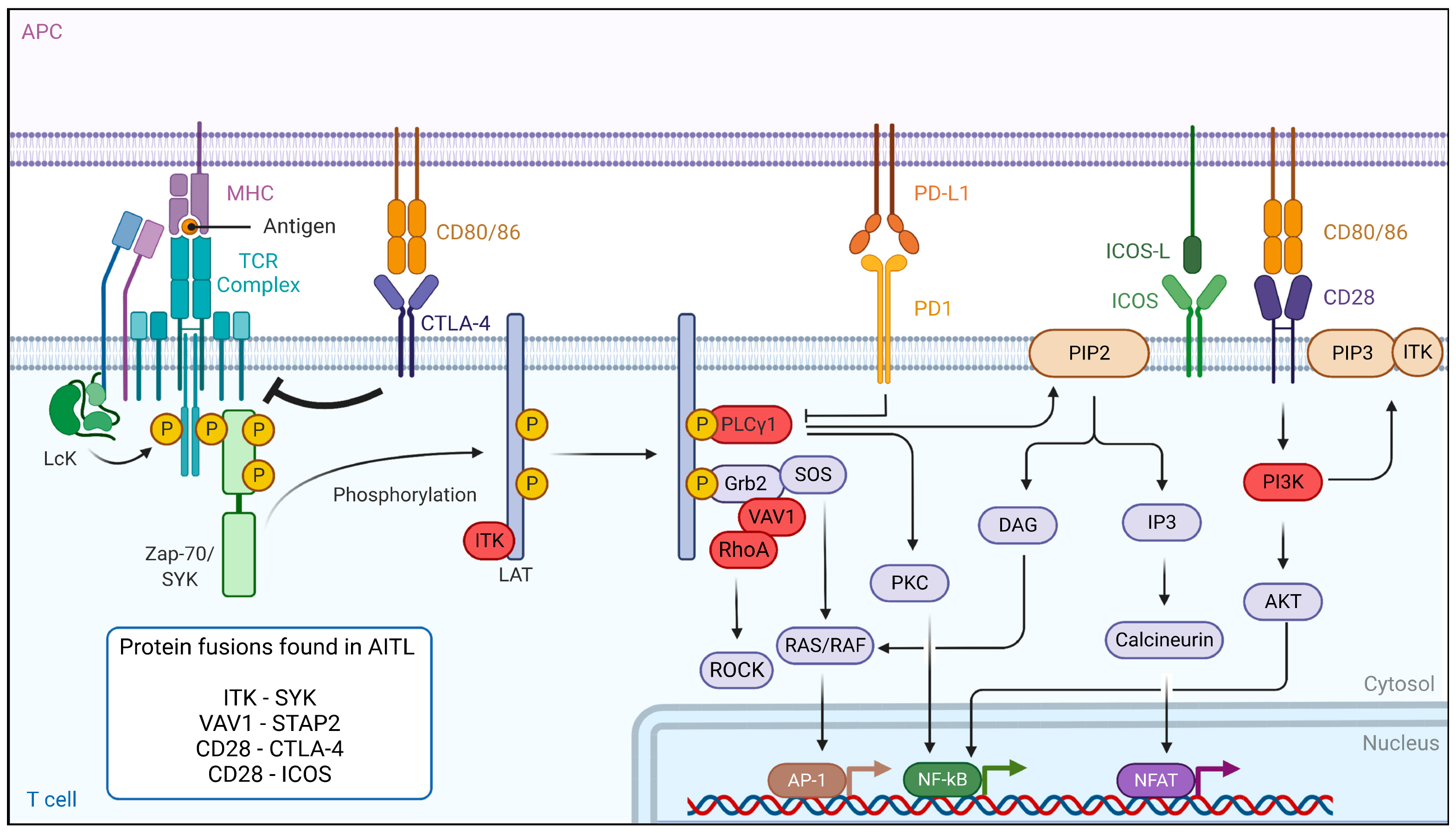 Cancers 14 02392 g003