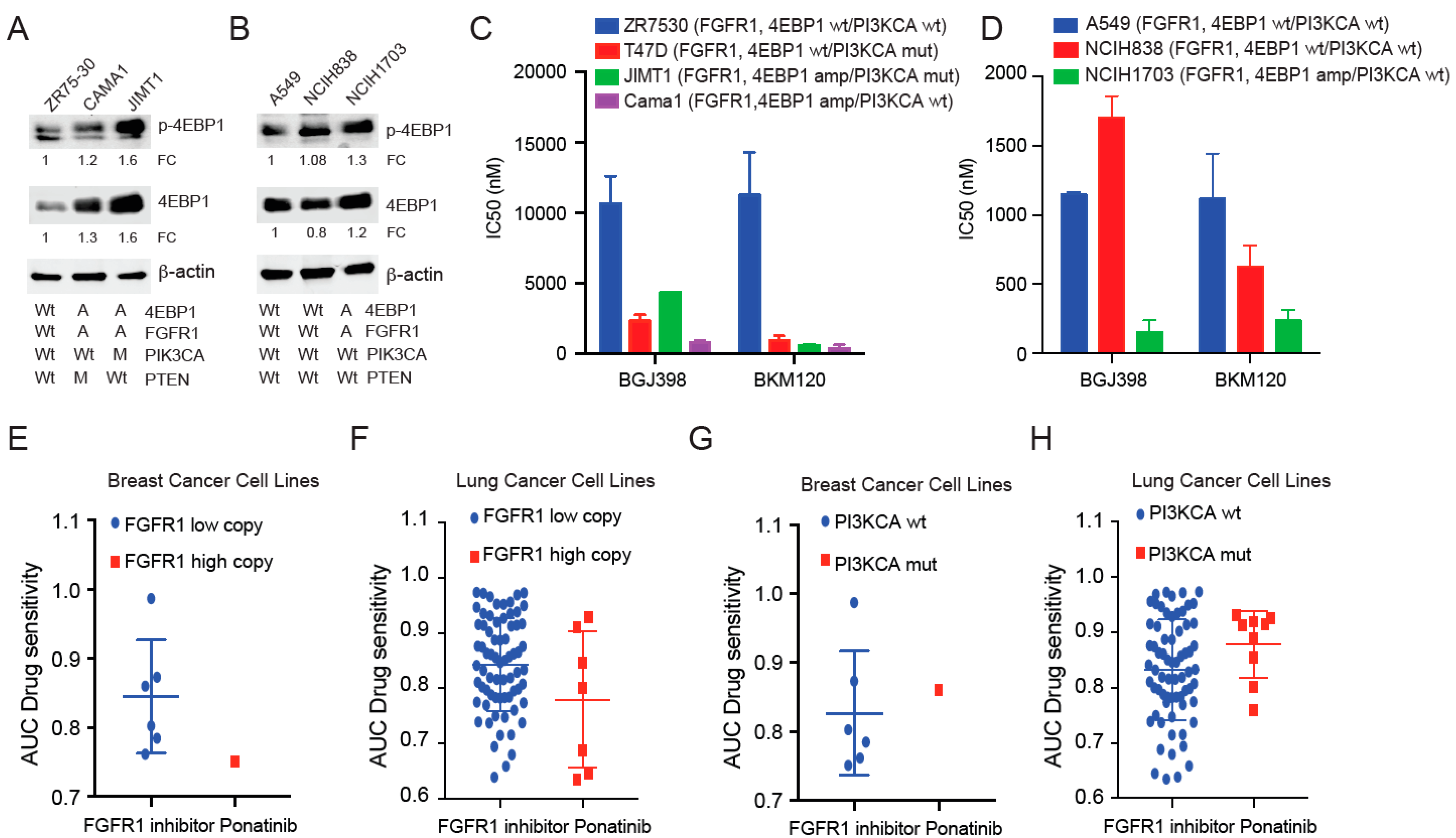 Cancers 14 02397 g002
