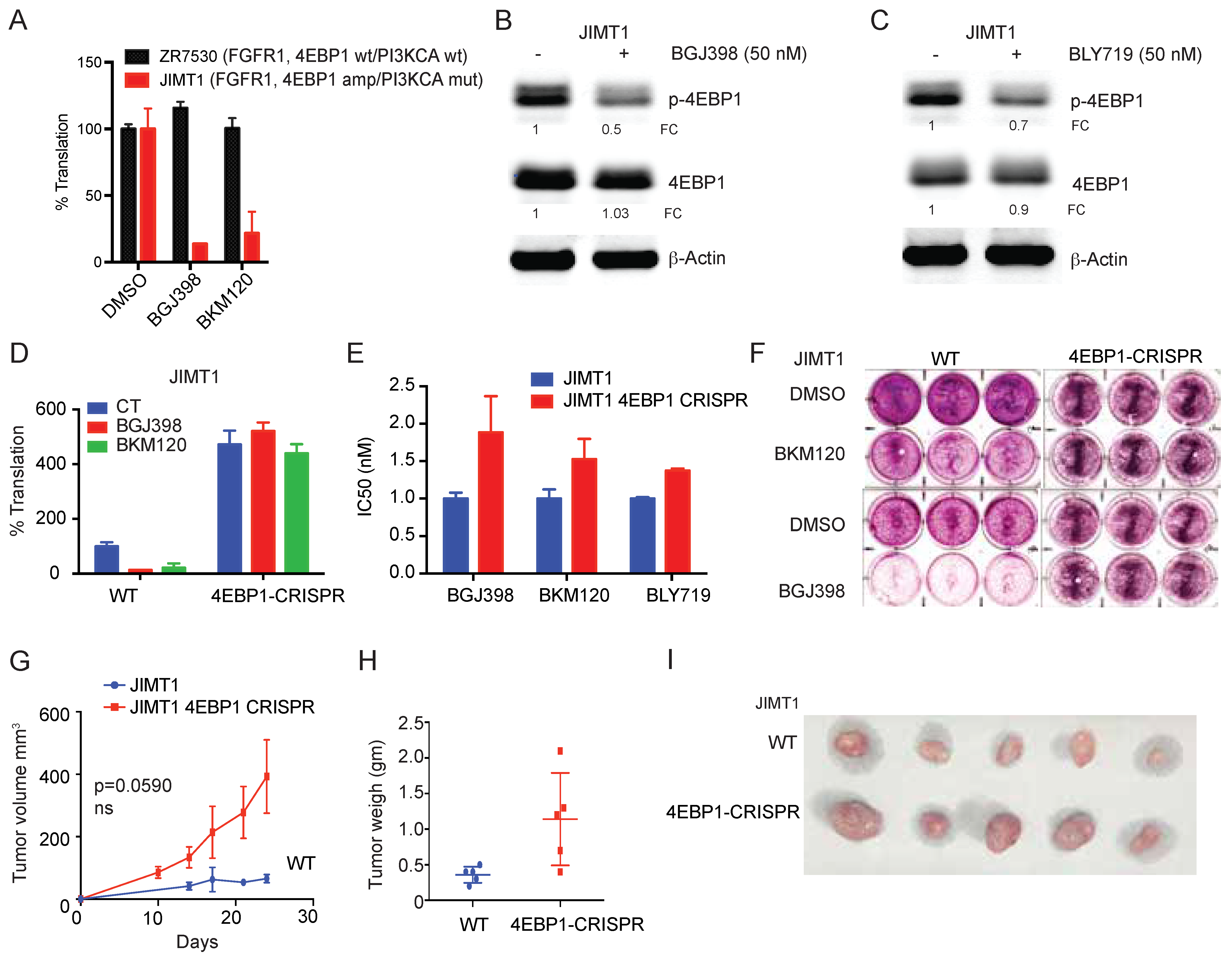 Cancers 14 02397 g003a