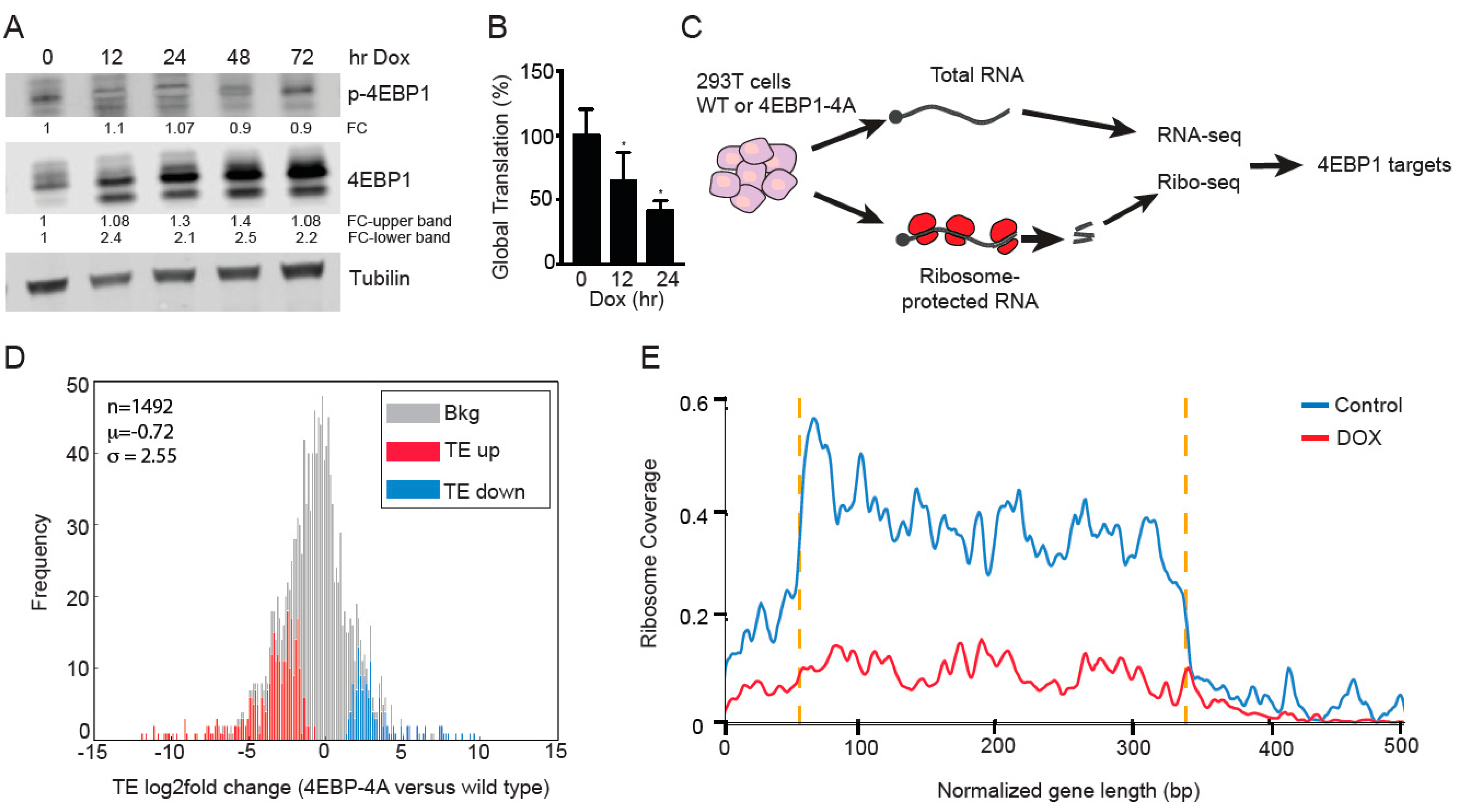 Cancers 14 02397 g004