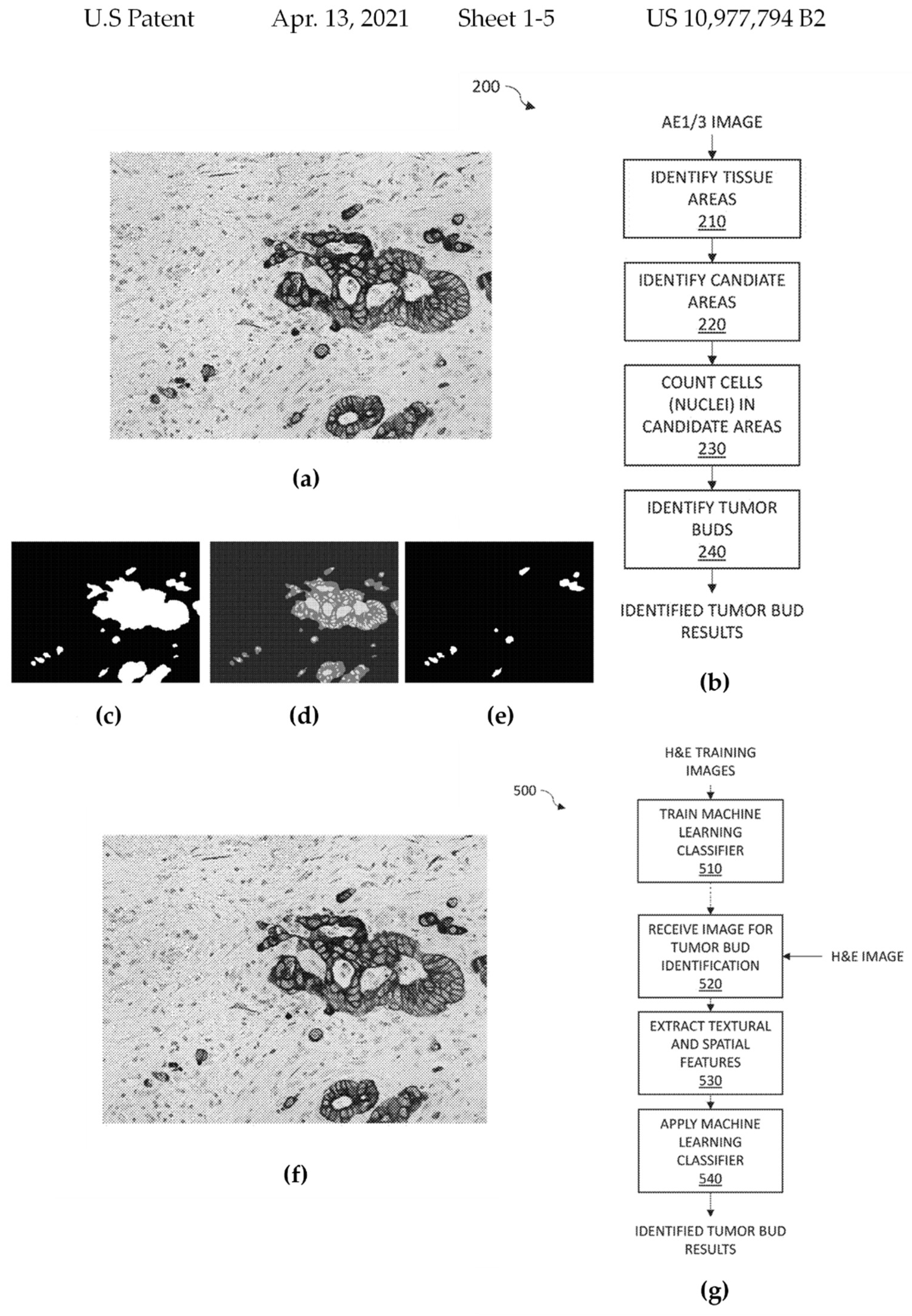 Cancers 14 02400 g008