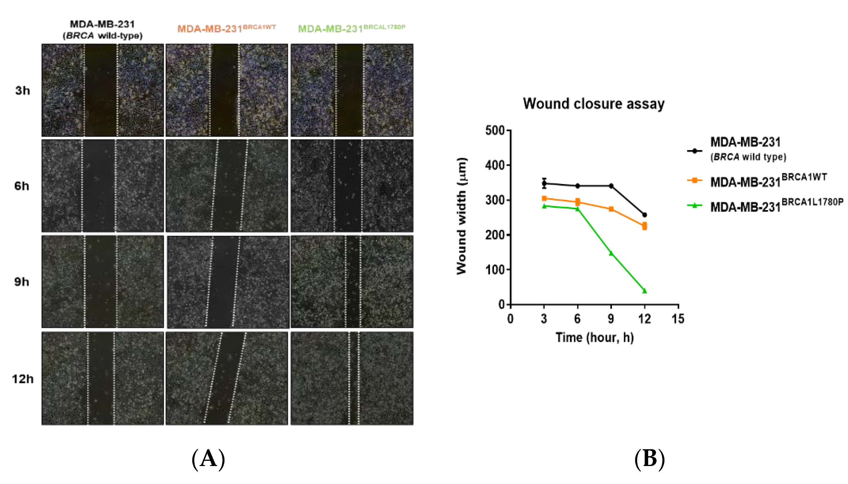 Cancers 14 02405 g003a