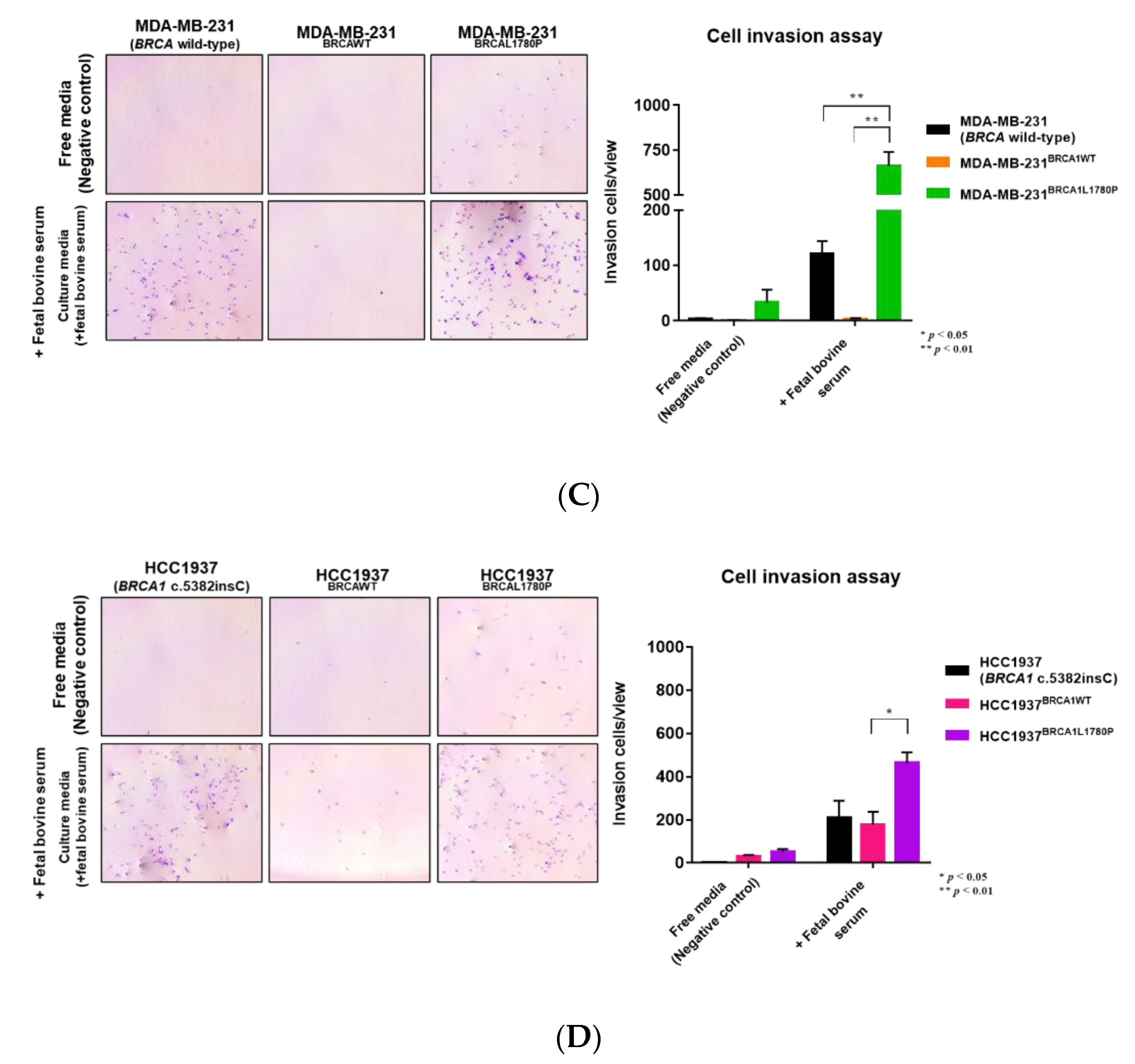 Cancers 14 02405 g003b
