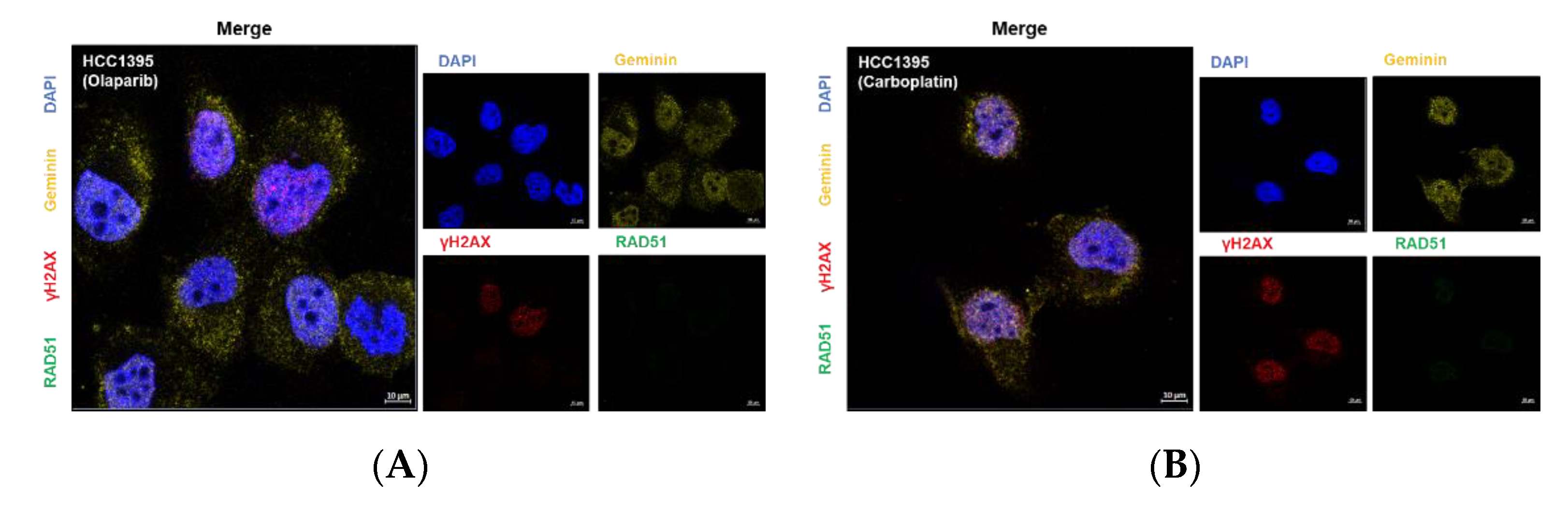 Cancers 14 02405 g005a