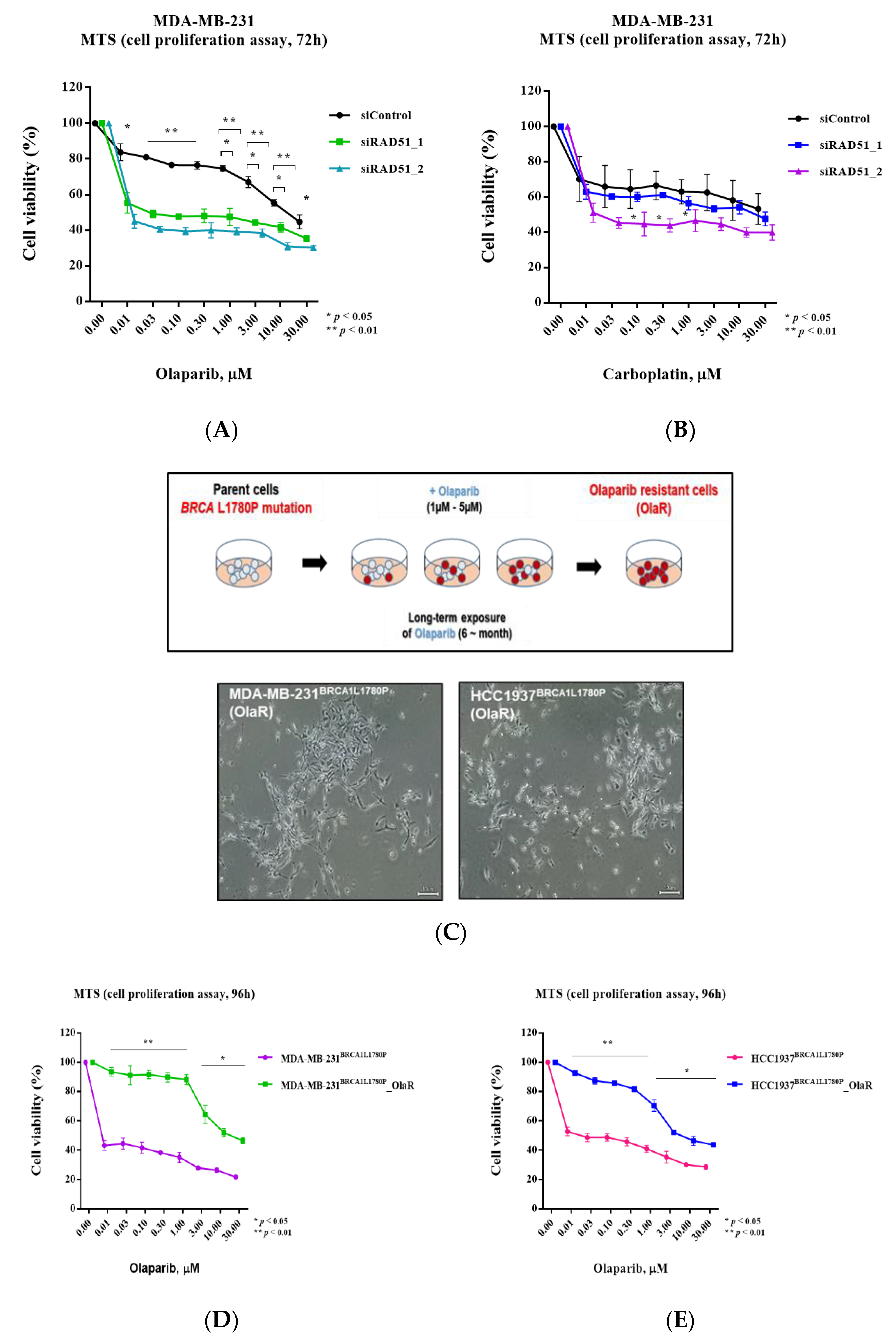 Cancers 14 02405 g006