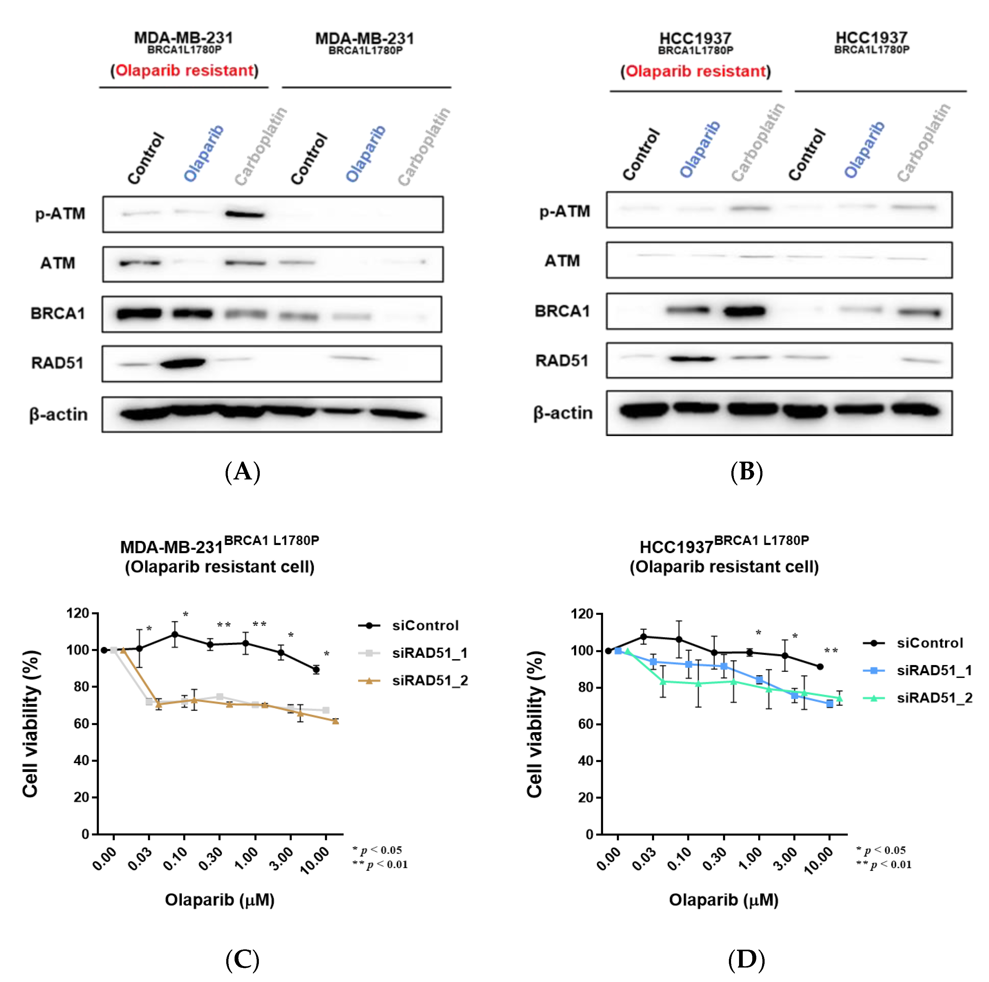 Cancers 14 02405 g007