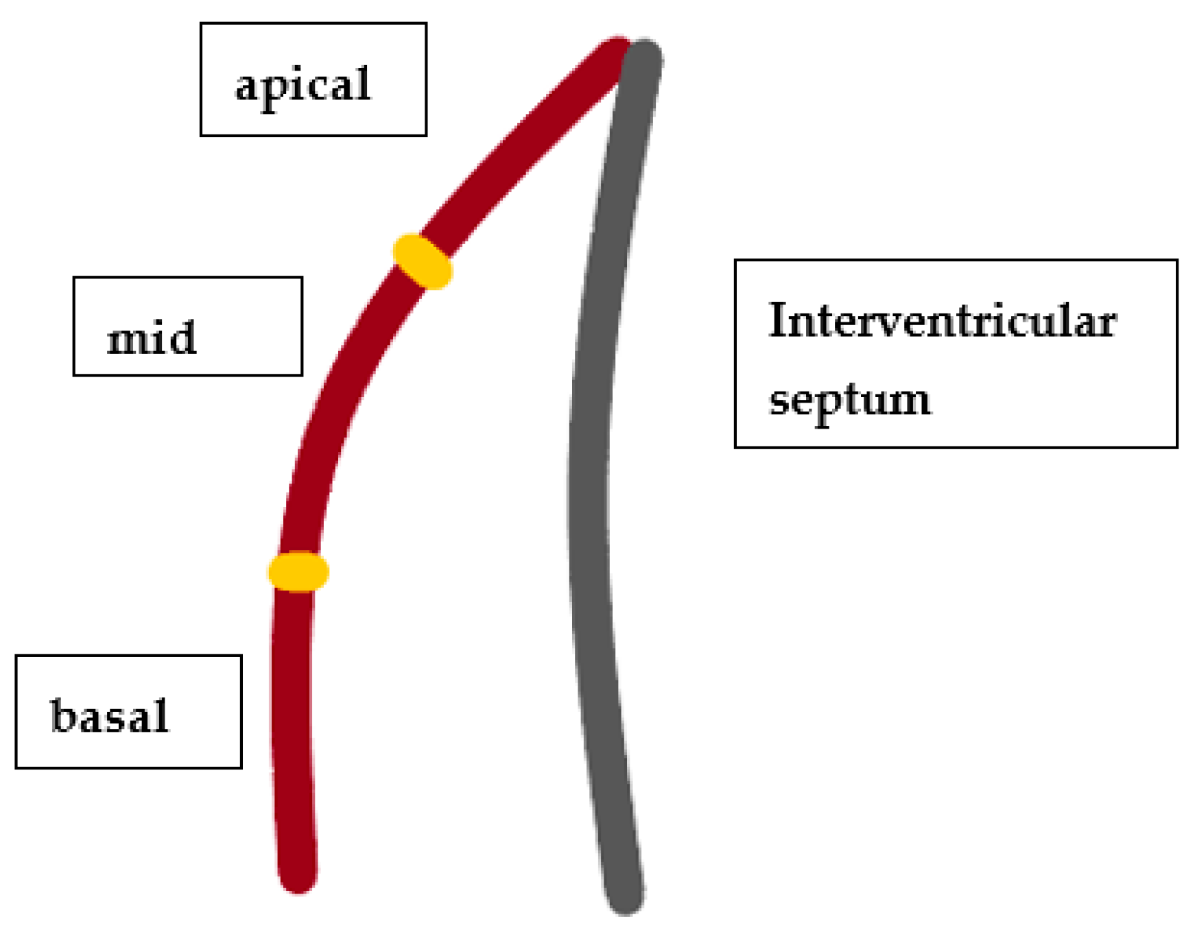 Cancers 14 02420 g002