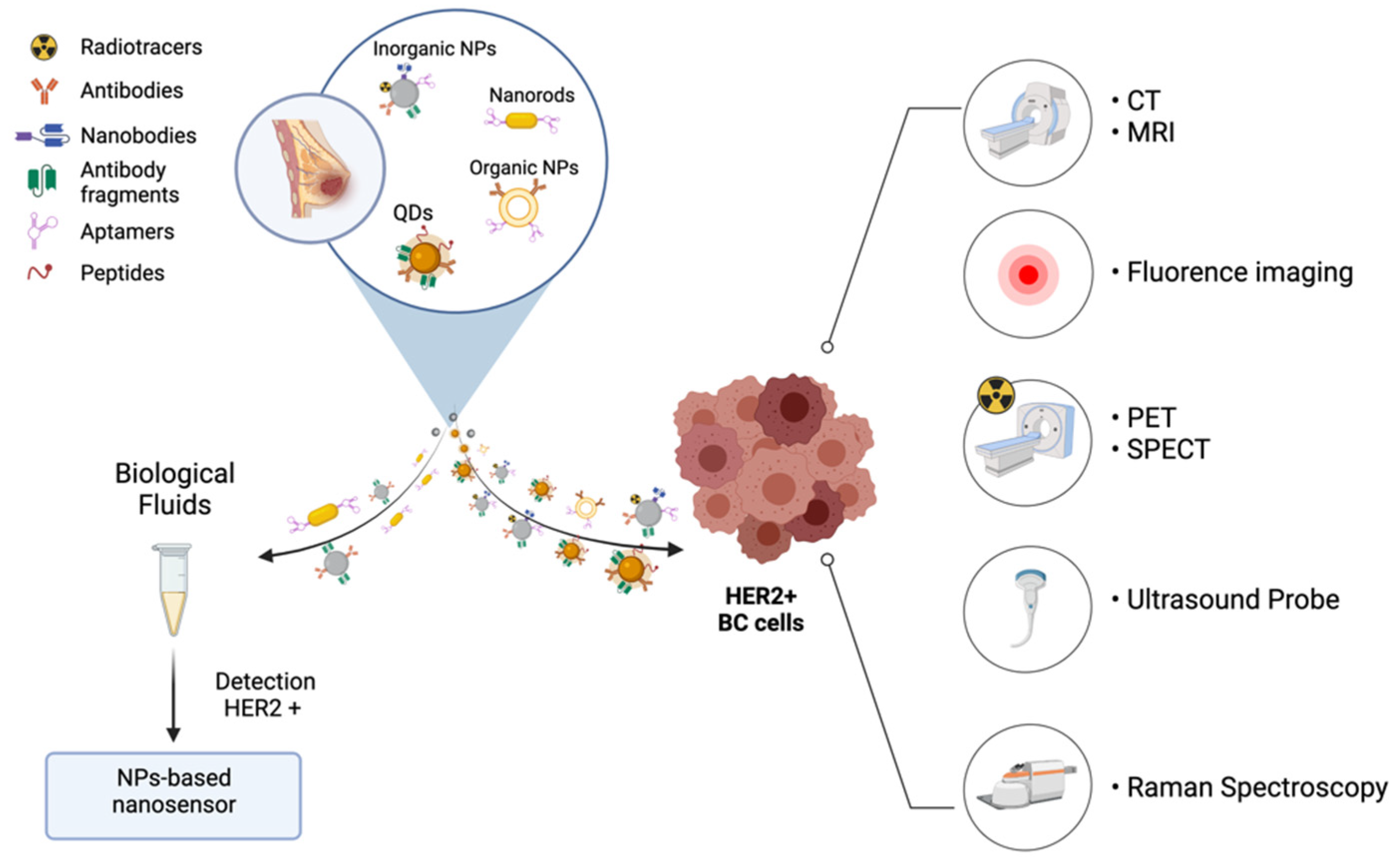 Cancers 14 02424 g002