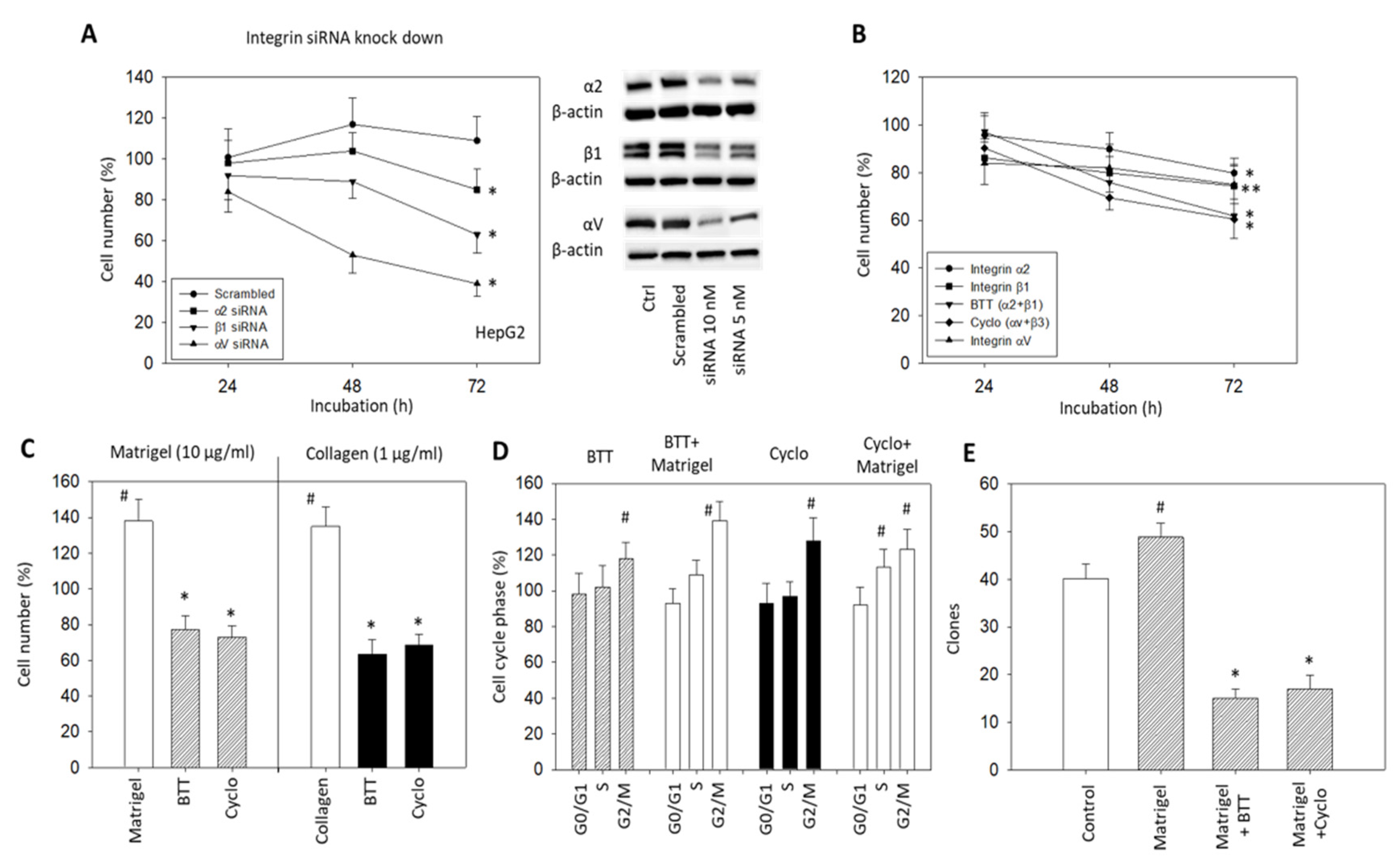 Cancers 14 02430 g004