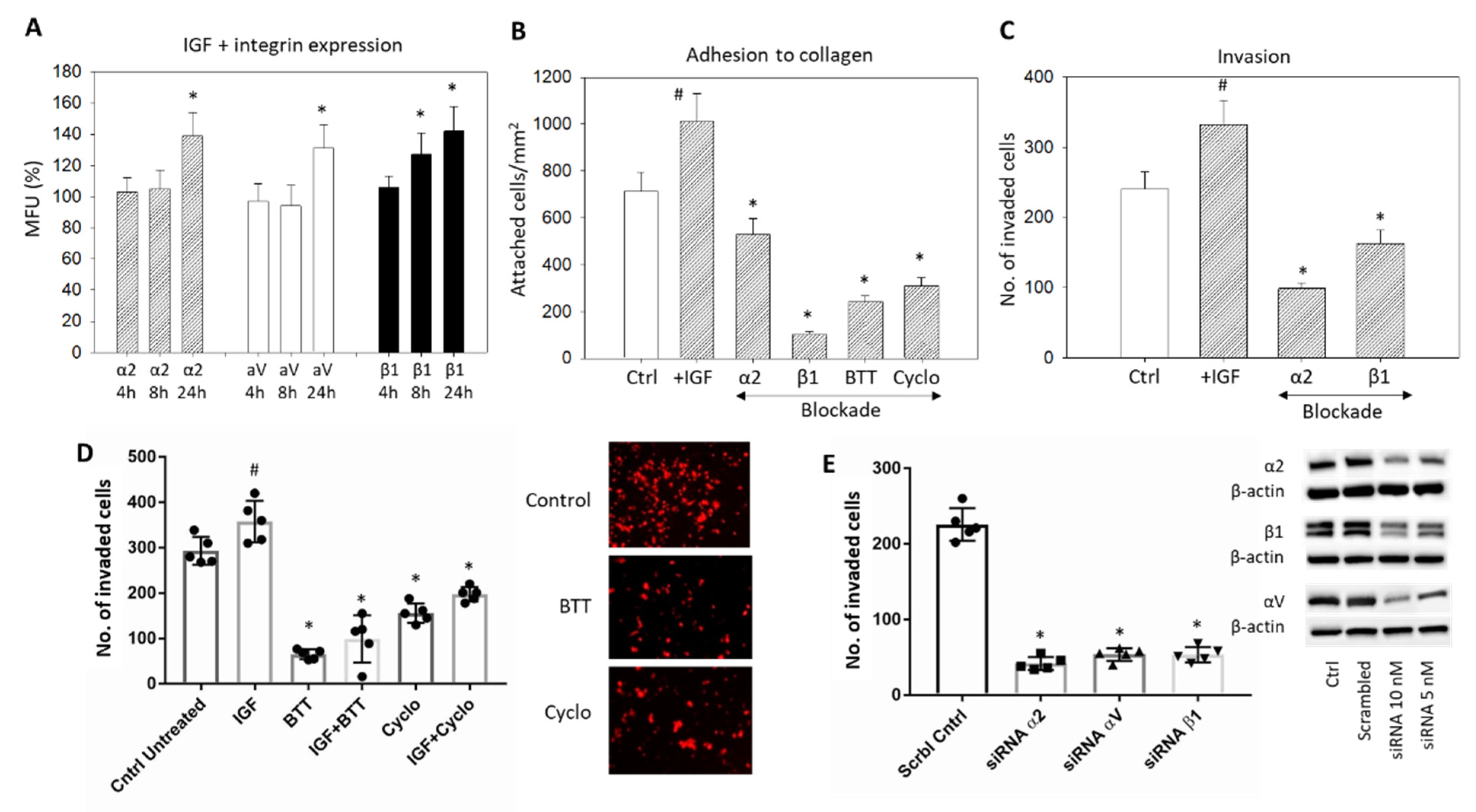 Cancers 14 02430 g006