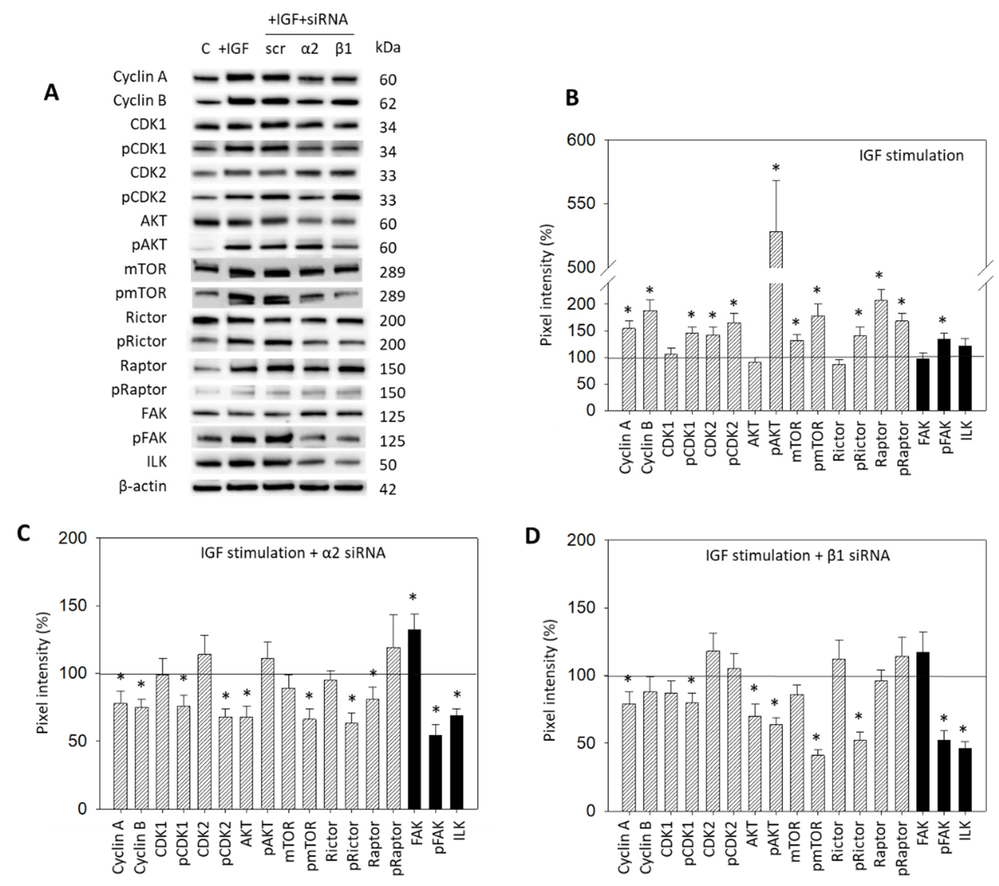 Cancers 14 02430 g007