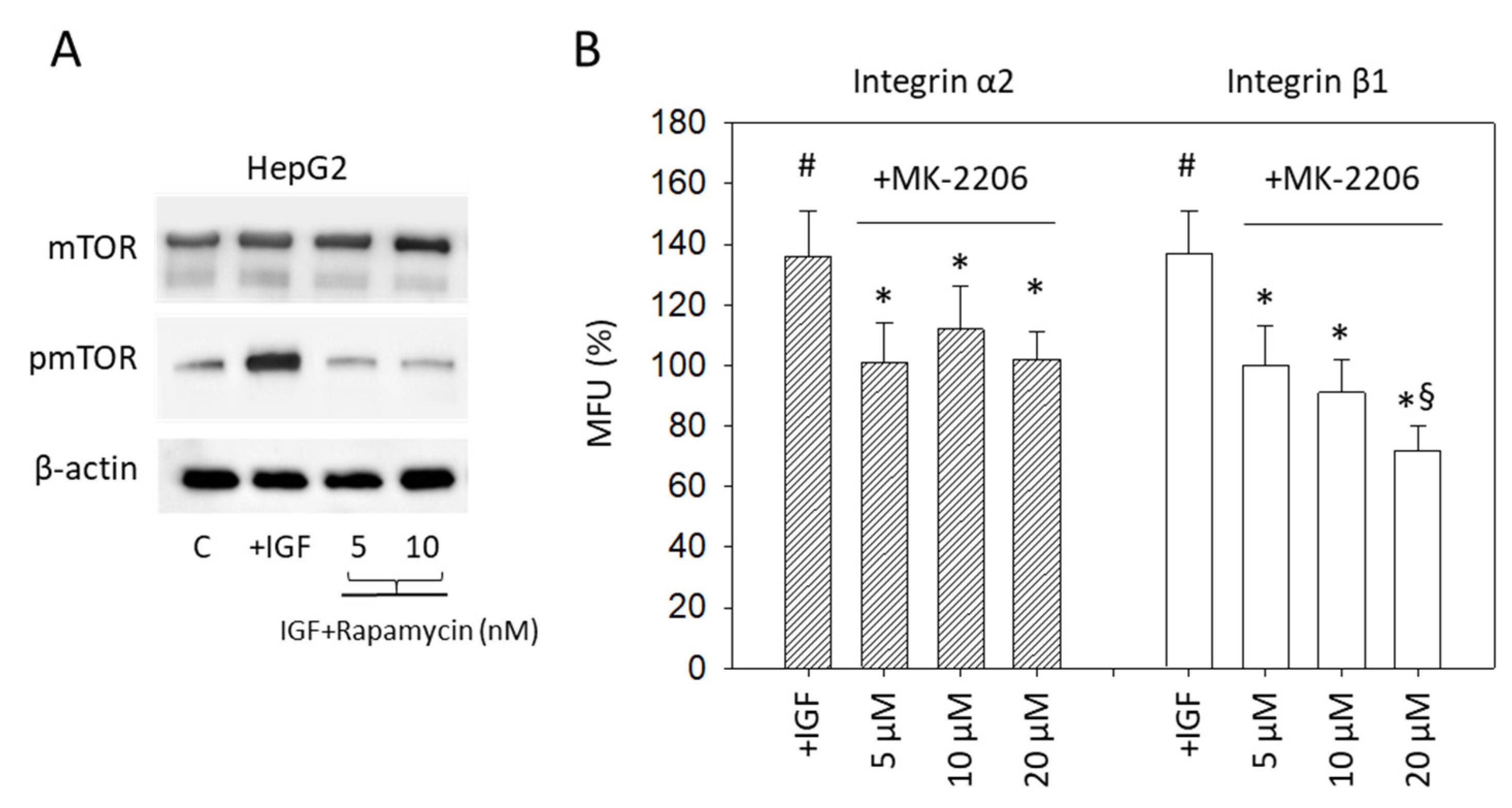 Cancers 14 02430 g008