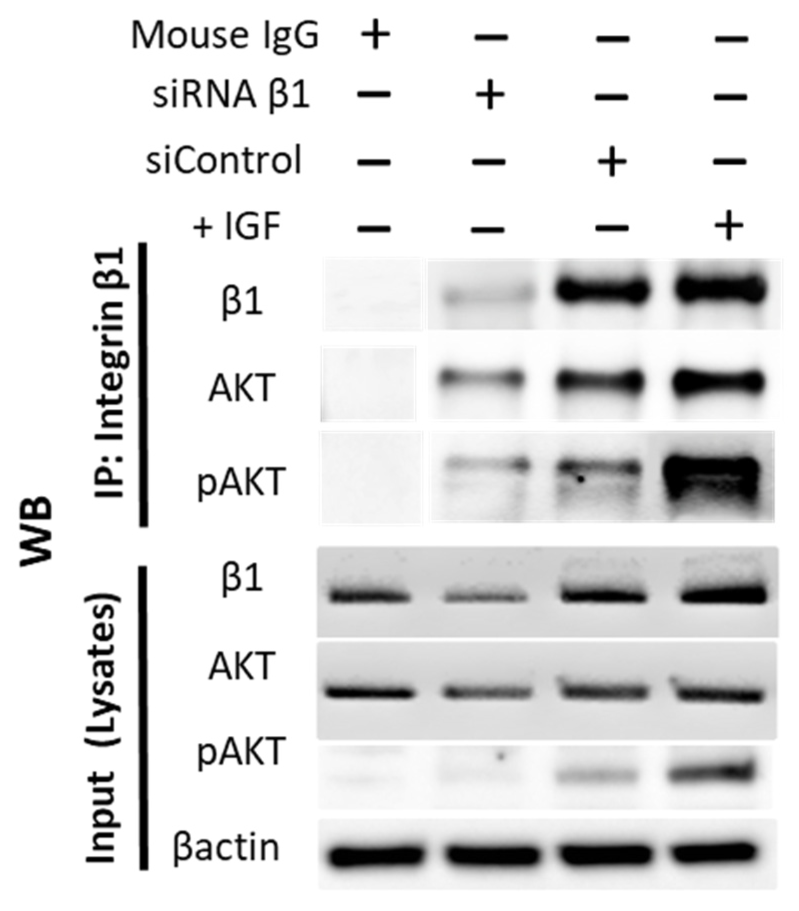 Cancers 14 02430 g009