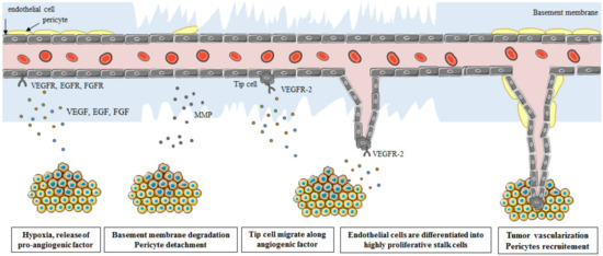 Cancers 14 02446 g001
