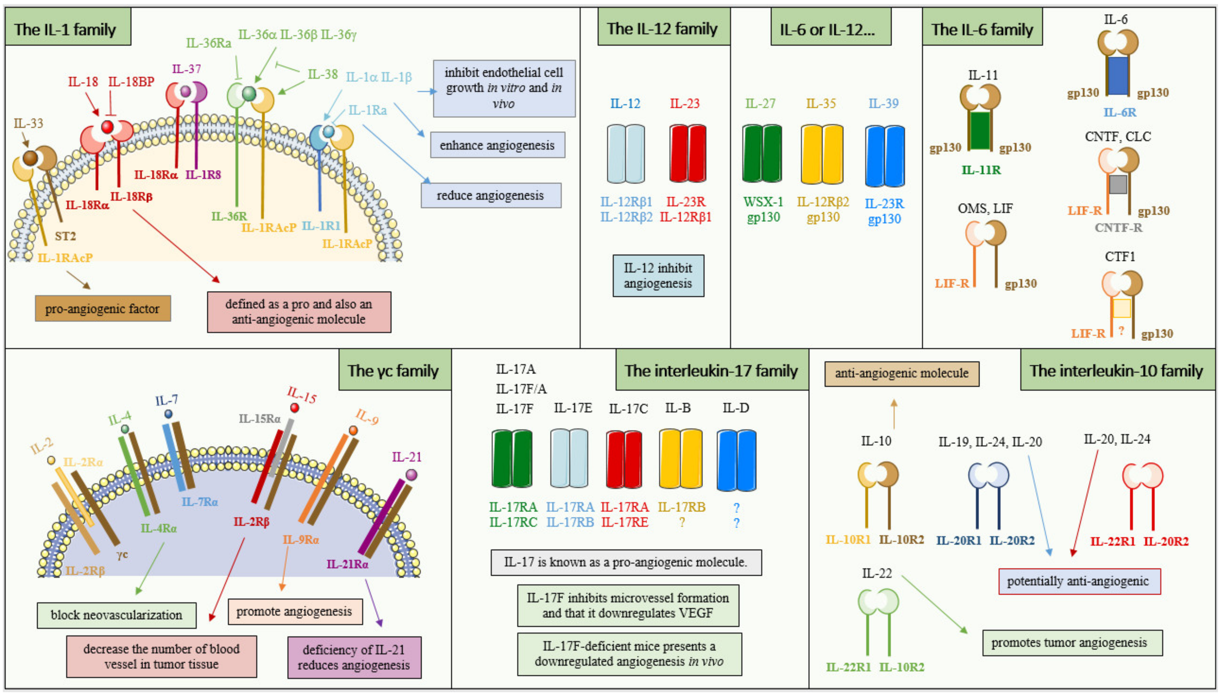 Cancers 14 02446 g003