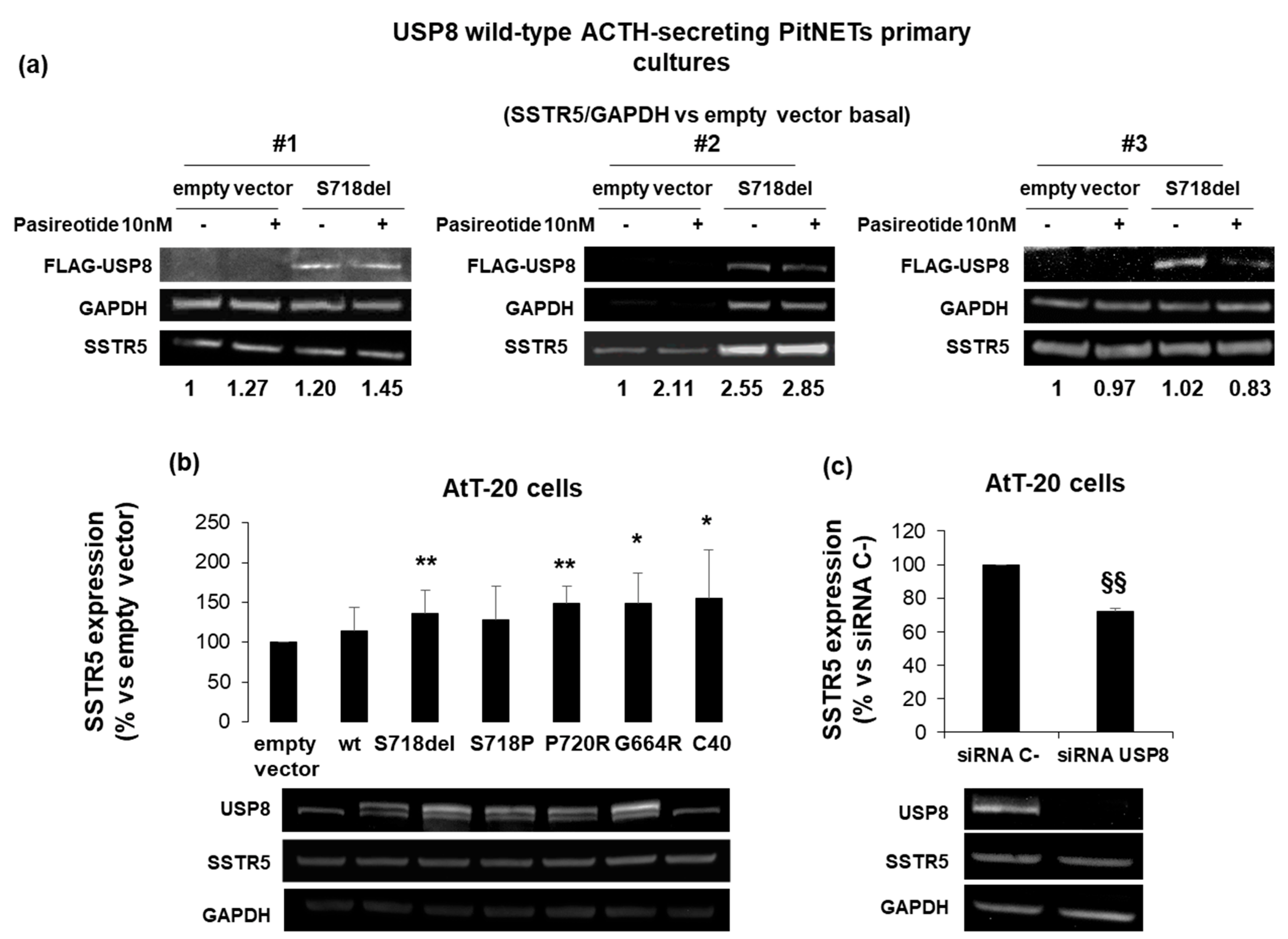 Cancers 14 02455 g001