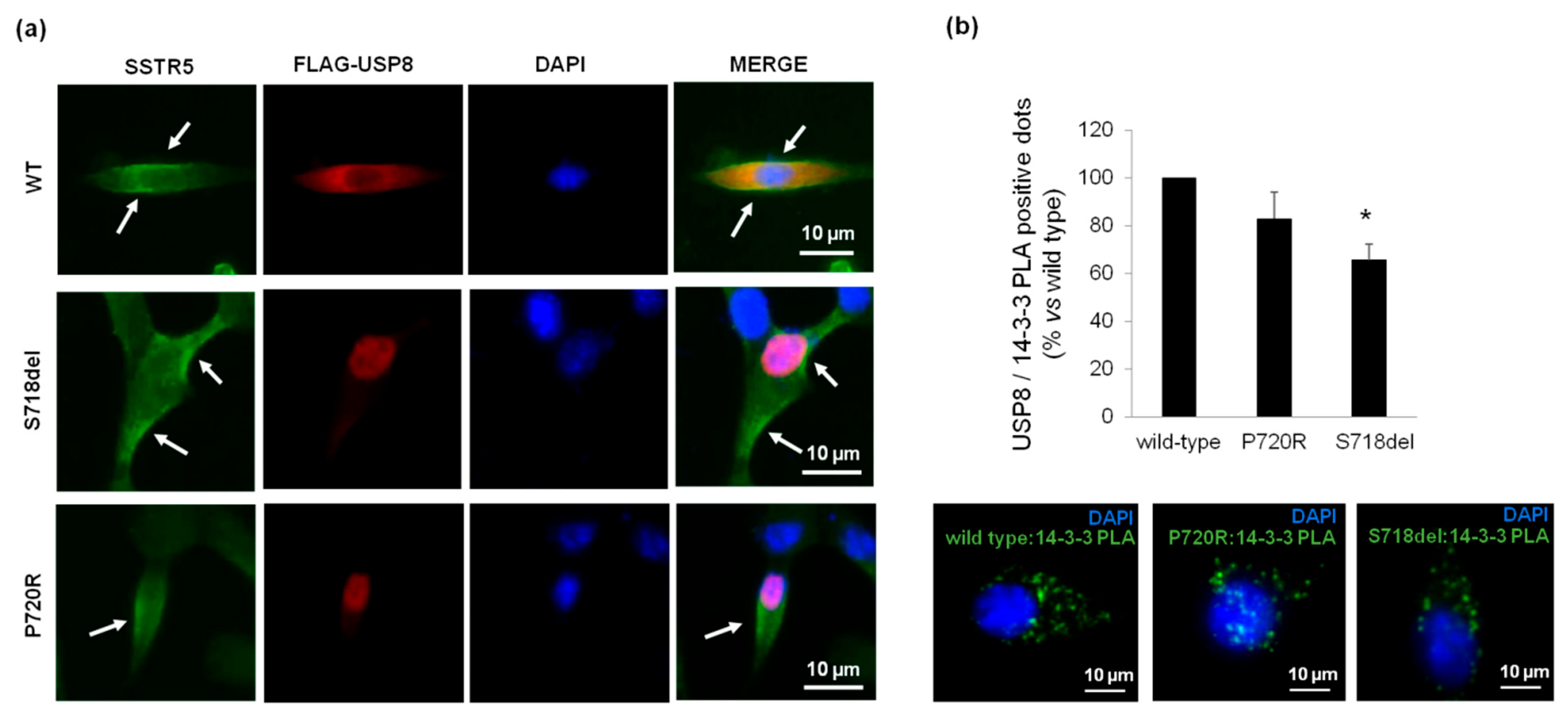 Cancers 14 02455 g005