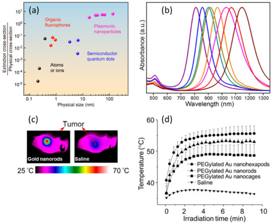 Cancers 14 02456 g001 550