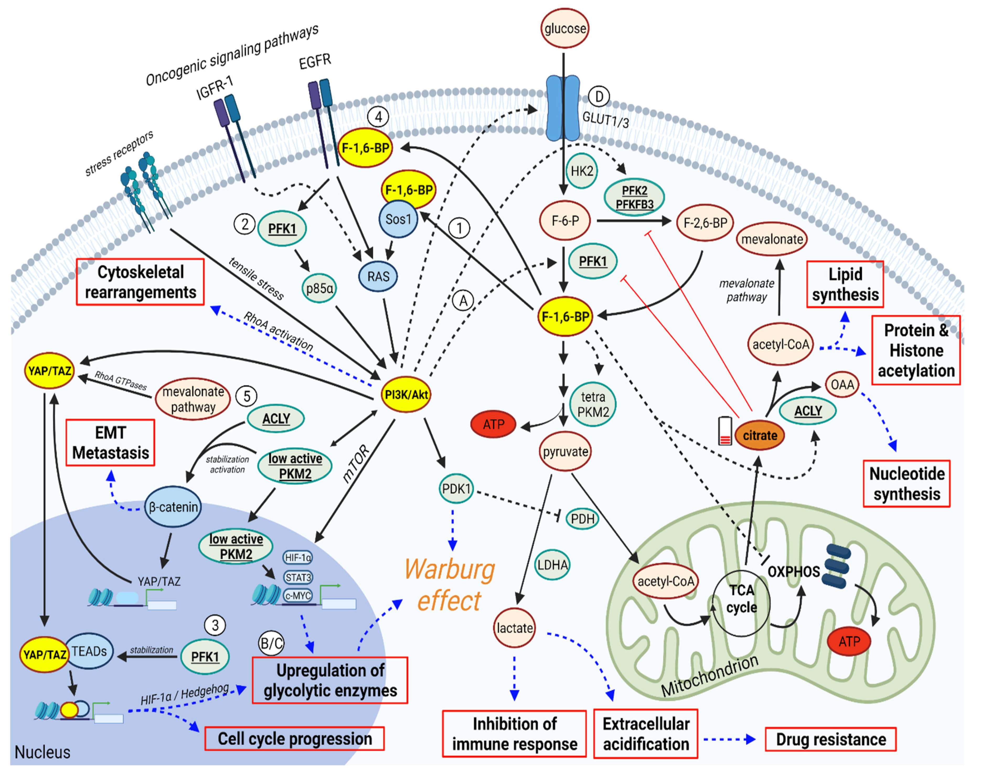 Cancers 14 02478 g001