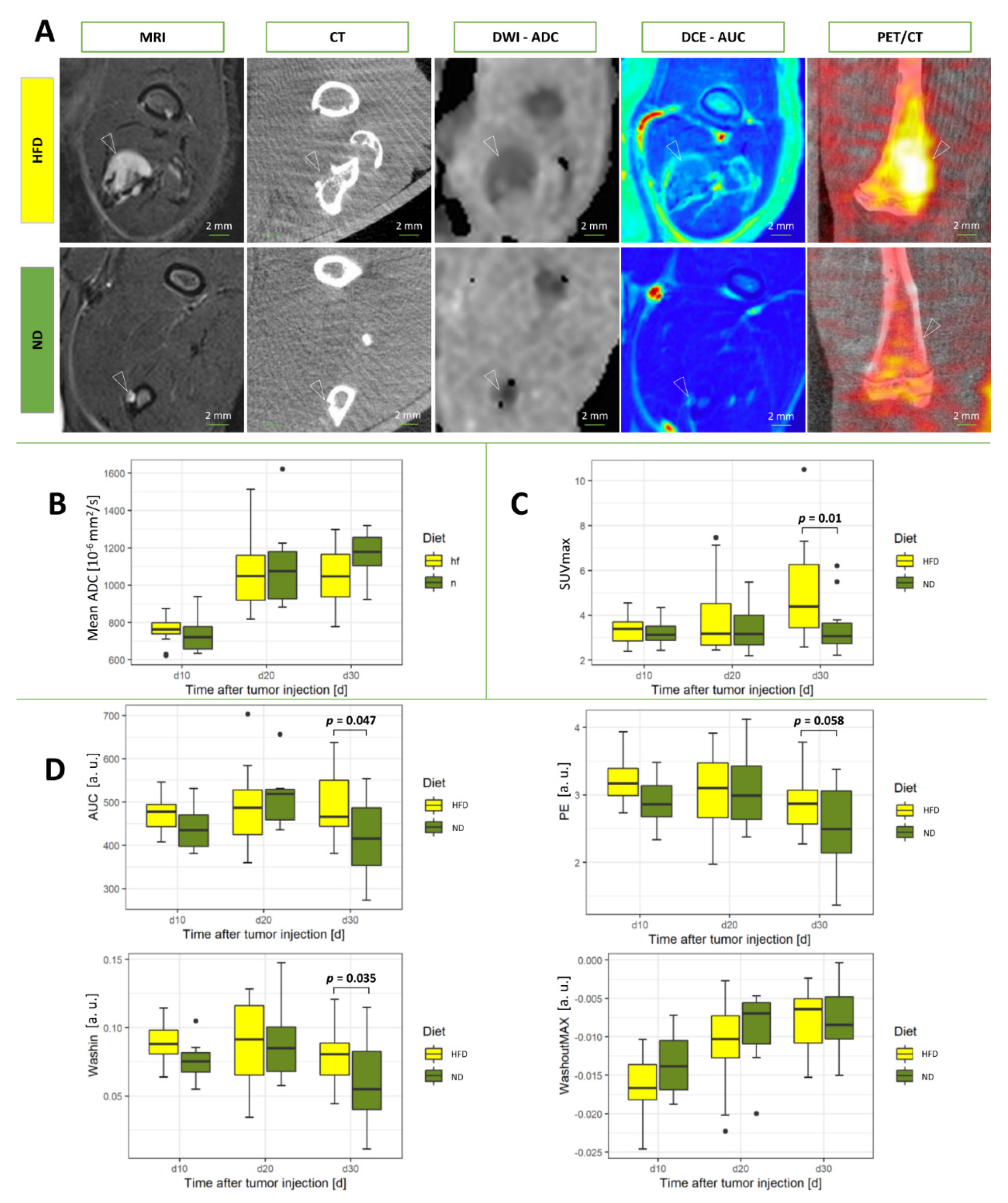 Cancers 14 02482 g002