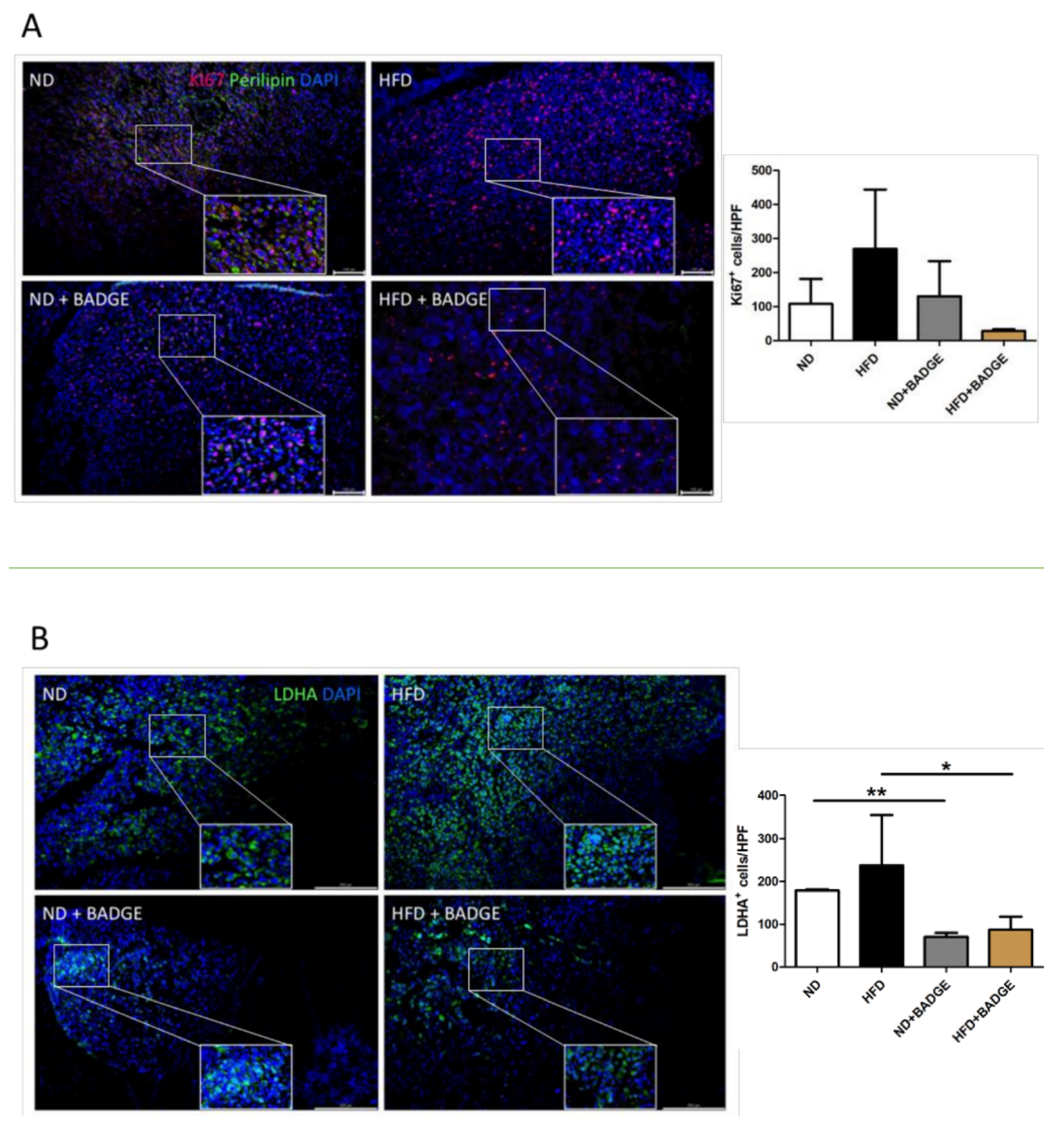 Cancers 14 02482 g004