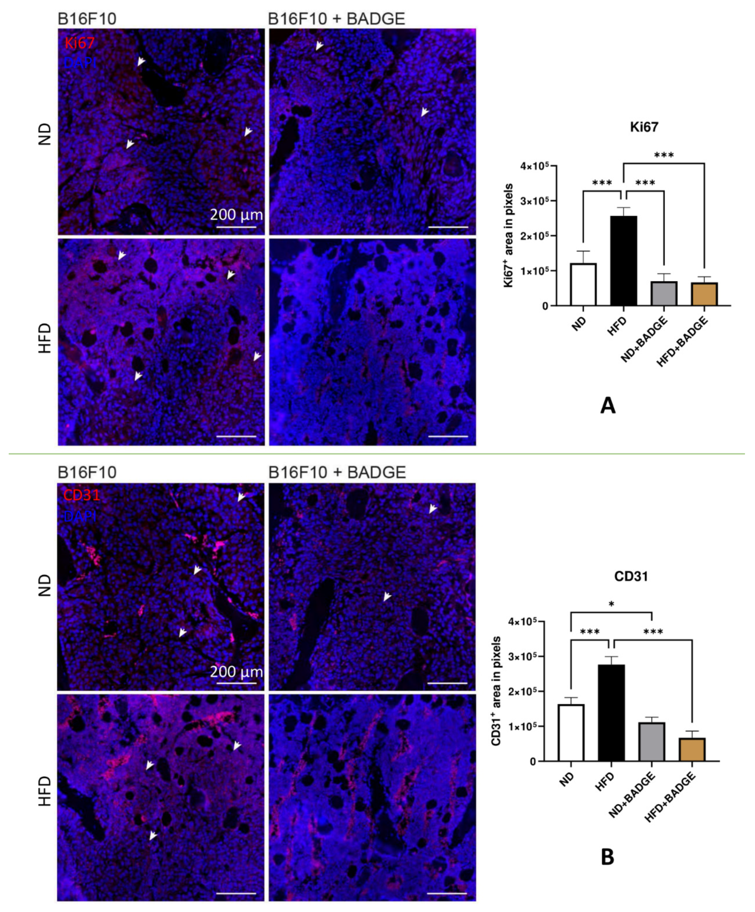 Cancers 14 02482 g005