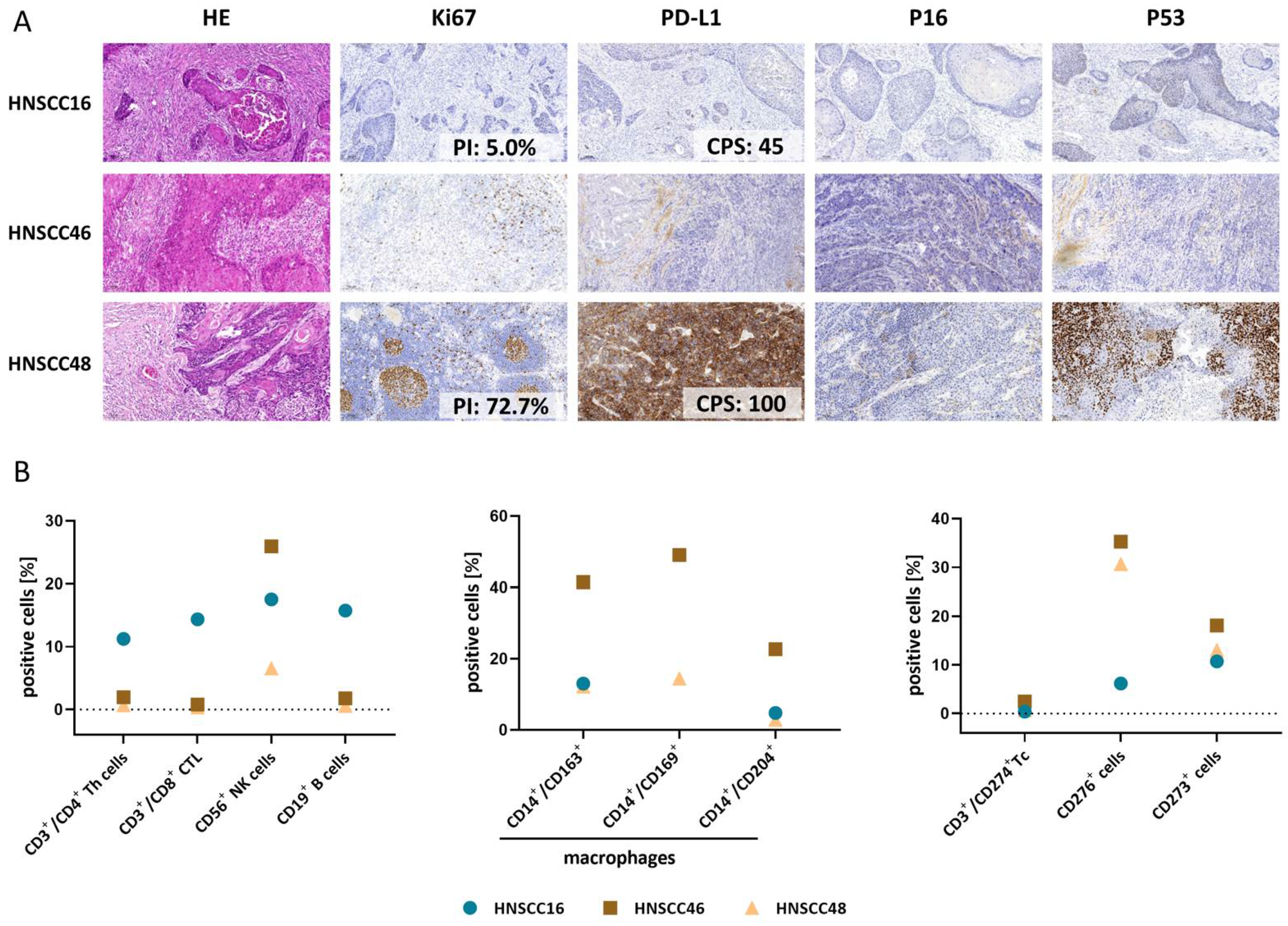 Cancers 14 02484 g001