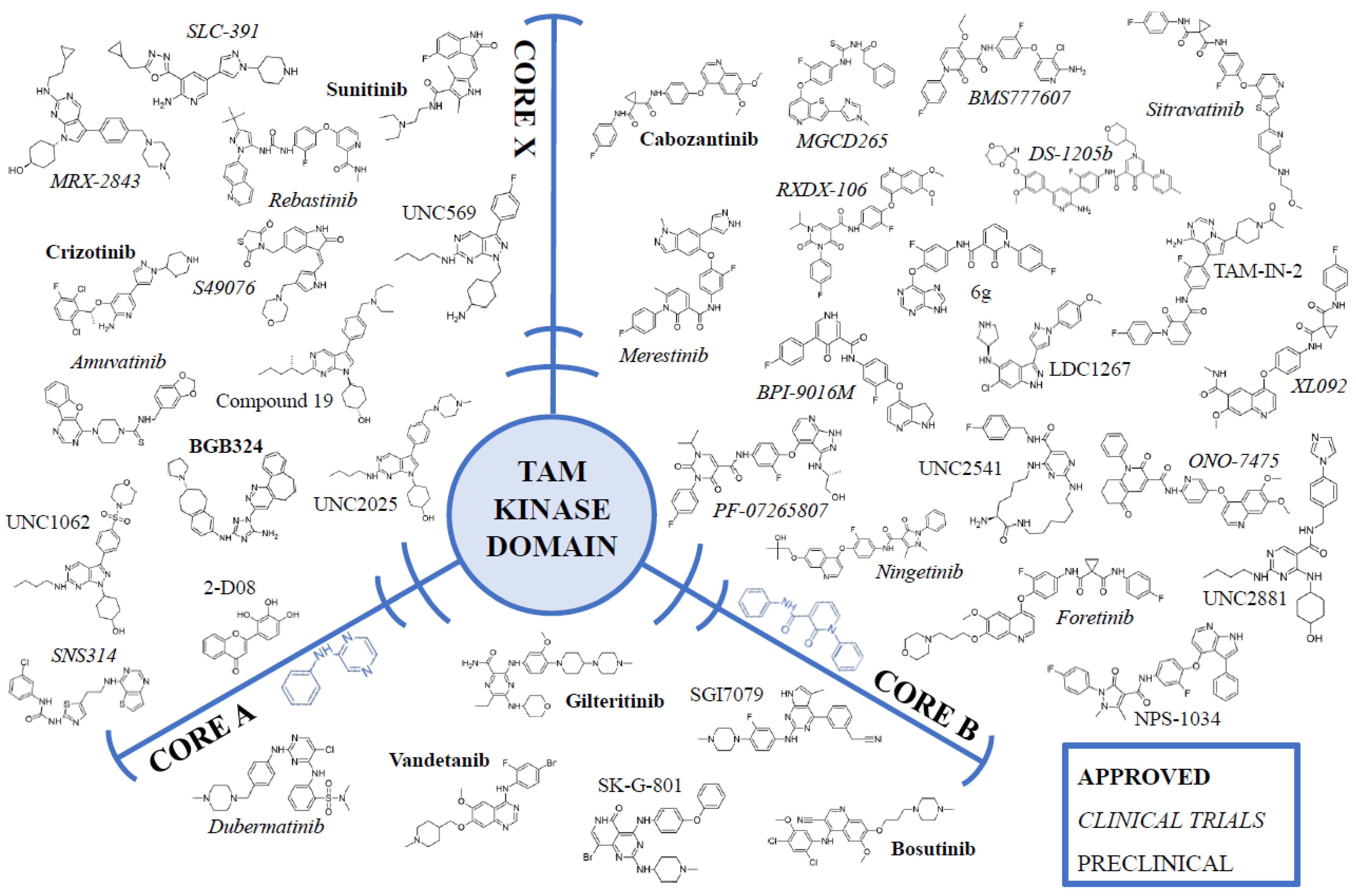 Cancers 14 02488 g002