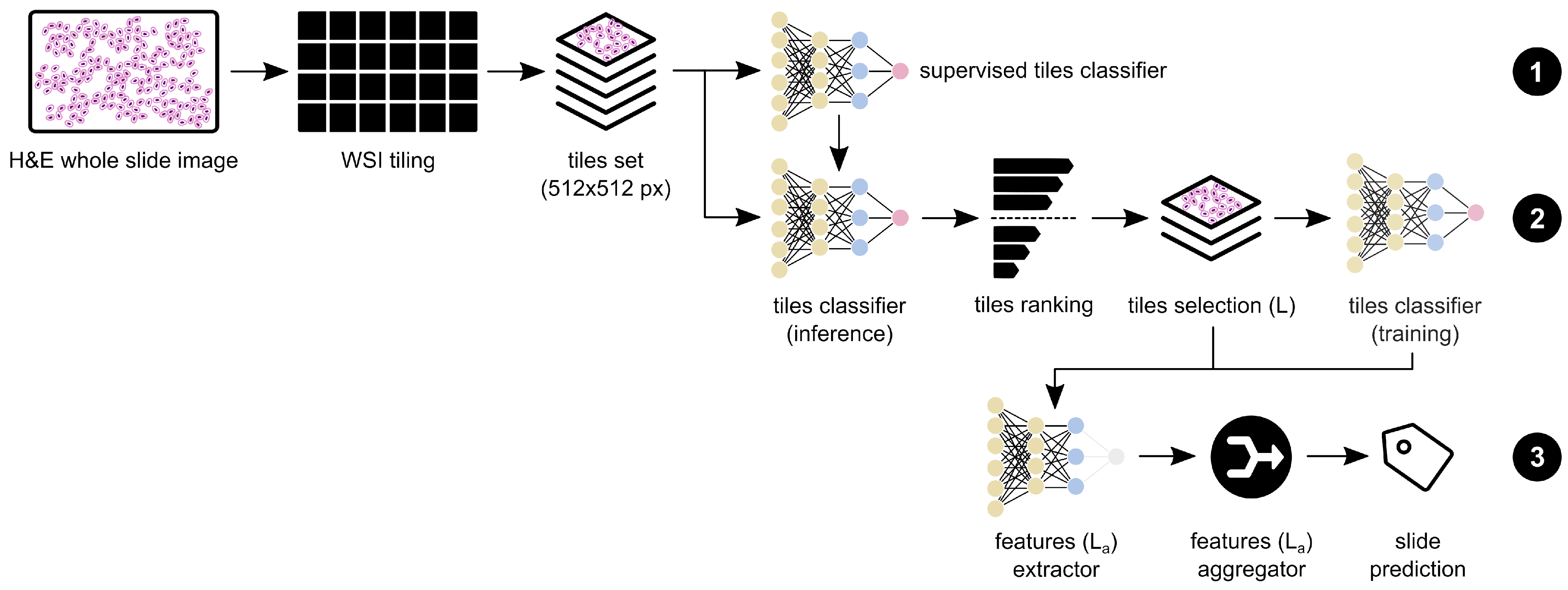 Cancers 14 02489 g003
