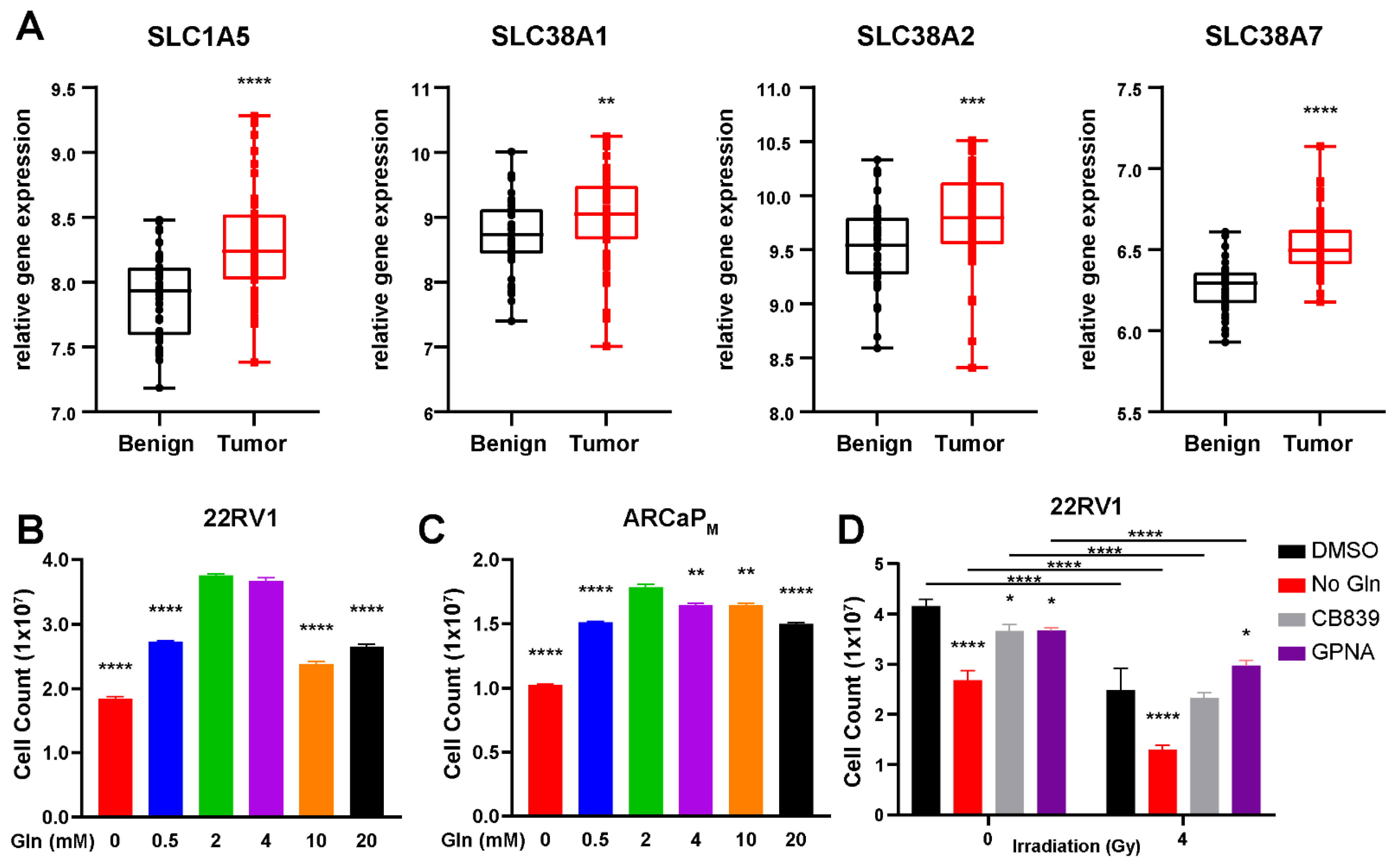 Cancers 14 02491 g001