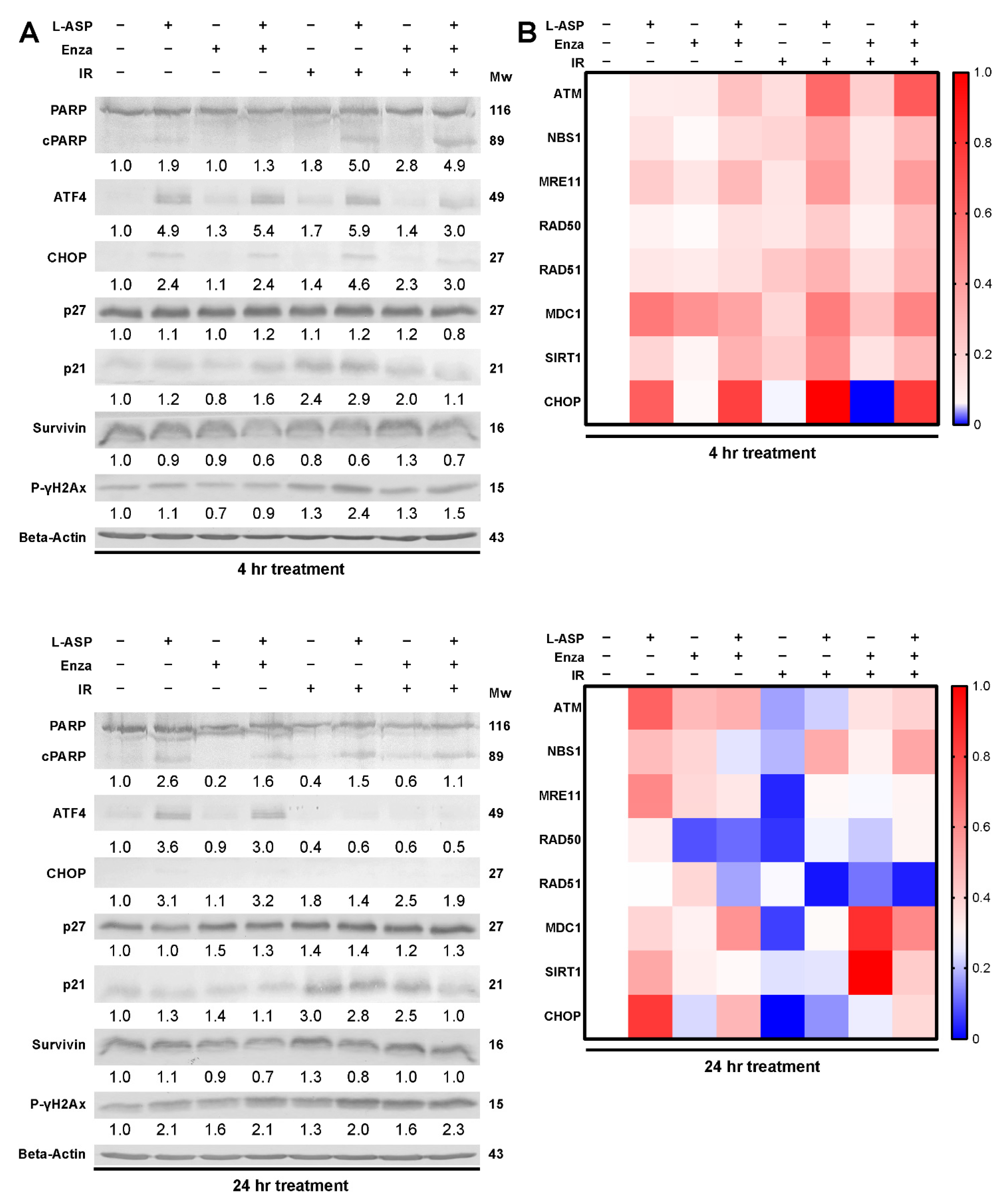 Cancers 14 02491 g004